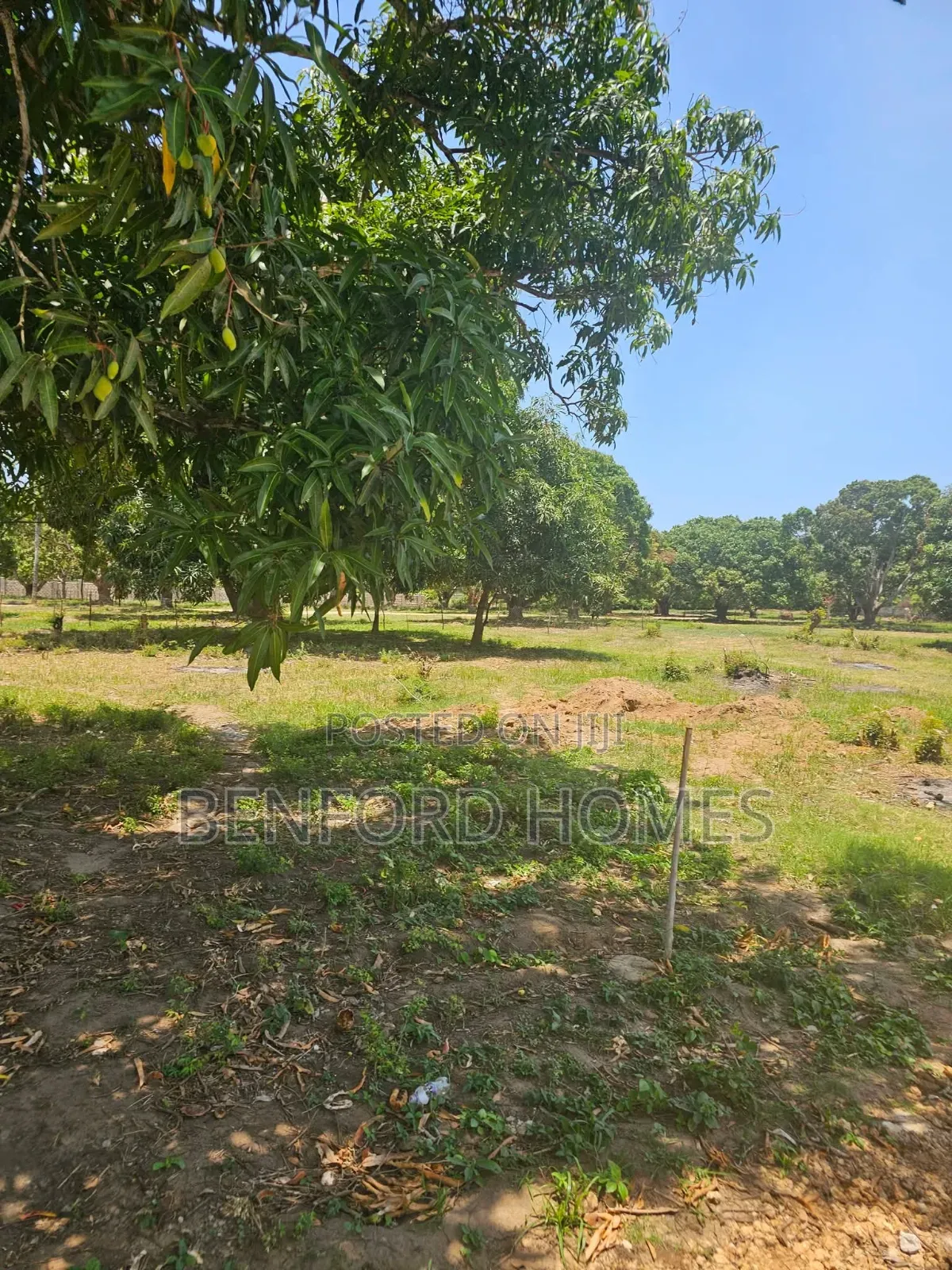 50/100 Prime Plots on Sale Kikambala for Premier Homes in Utange