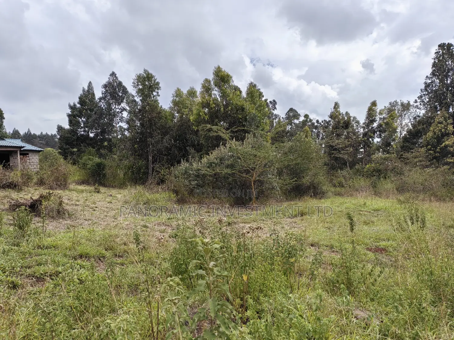 Half of an Acre for Sale in Losegetti Kikuyu Kiambu County. in Kikuyu
