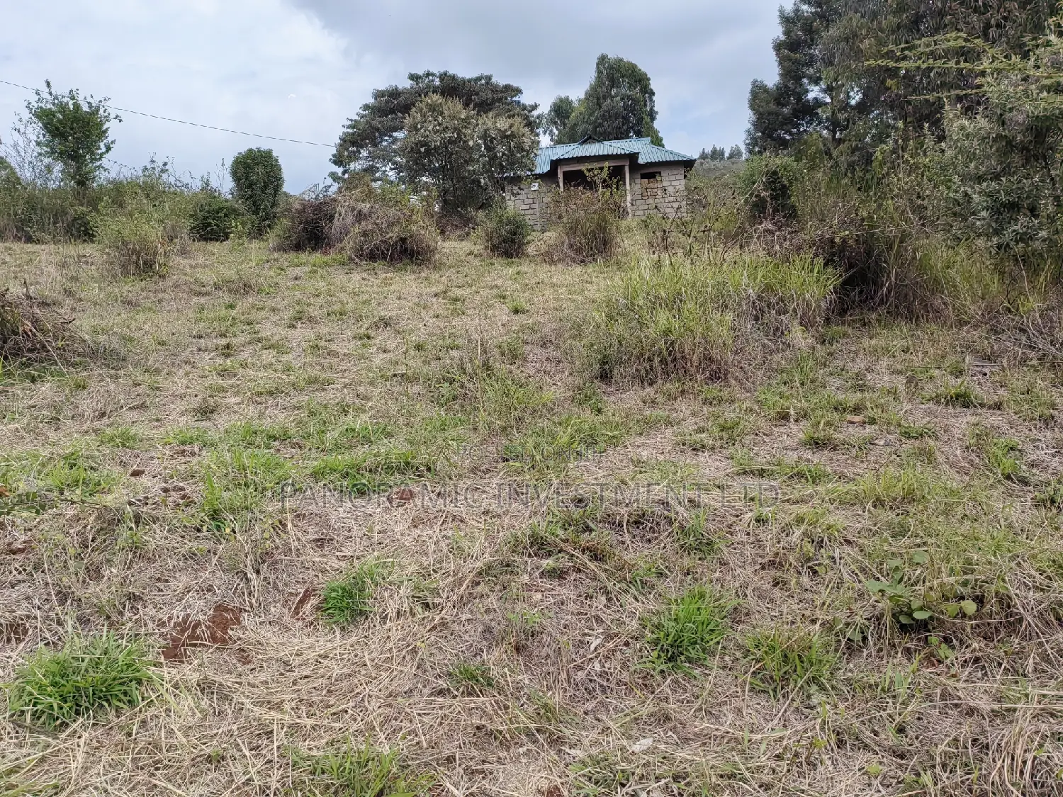Half of an Acre for Sale in Losegetti Kikuyu Kiambu County. in Kikuyu