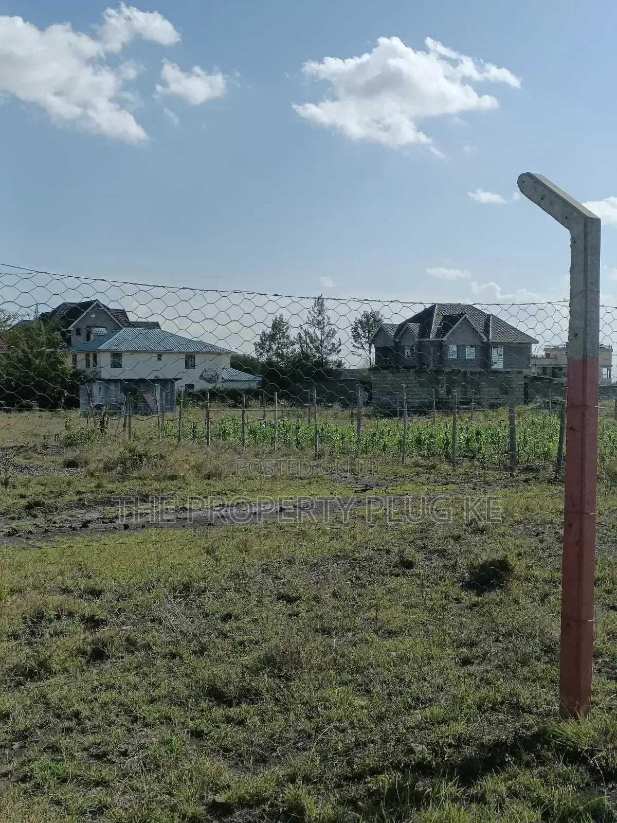 50 by 100 Plot for Sale in Katani in Katani