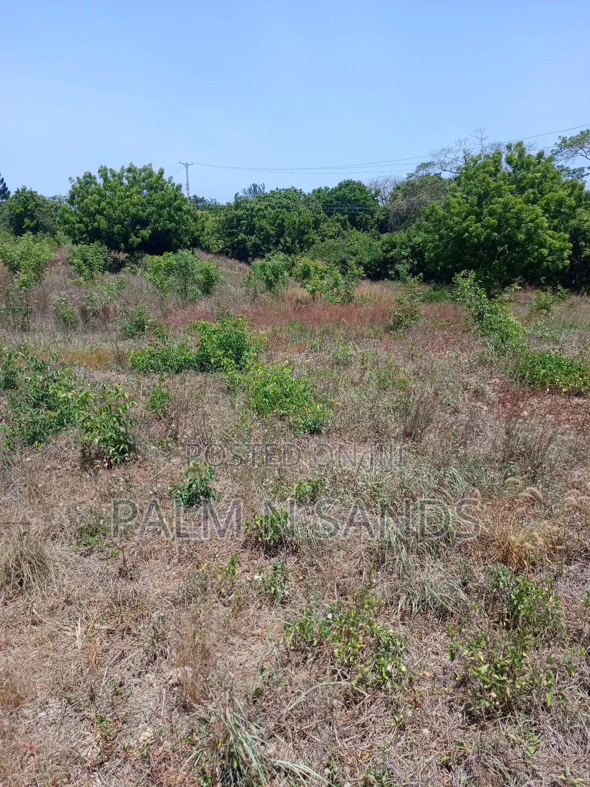 1/4 Prime Plot Near Lotfa Resort in Diani on Sale in Ukunda