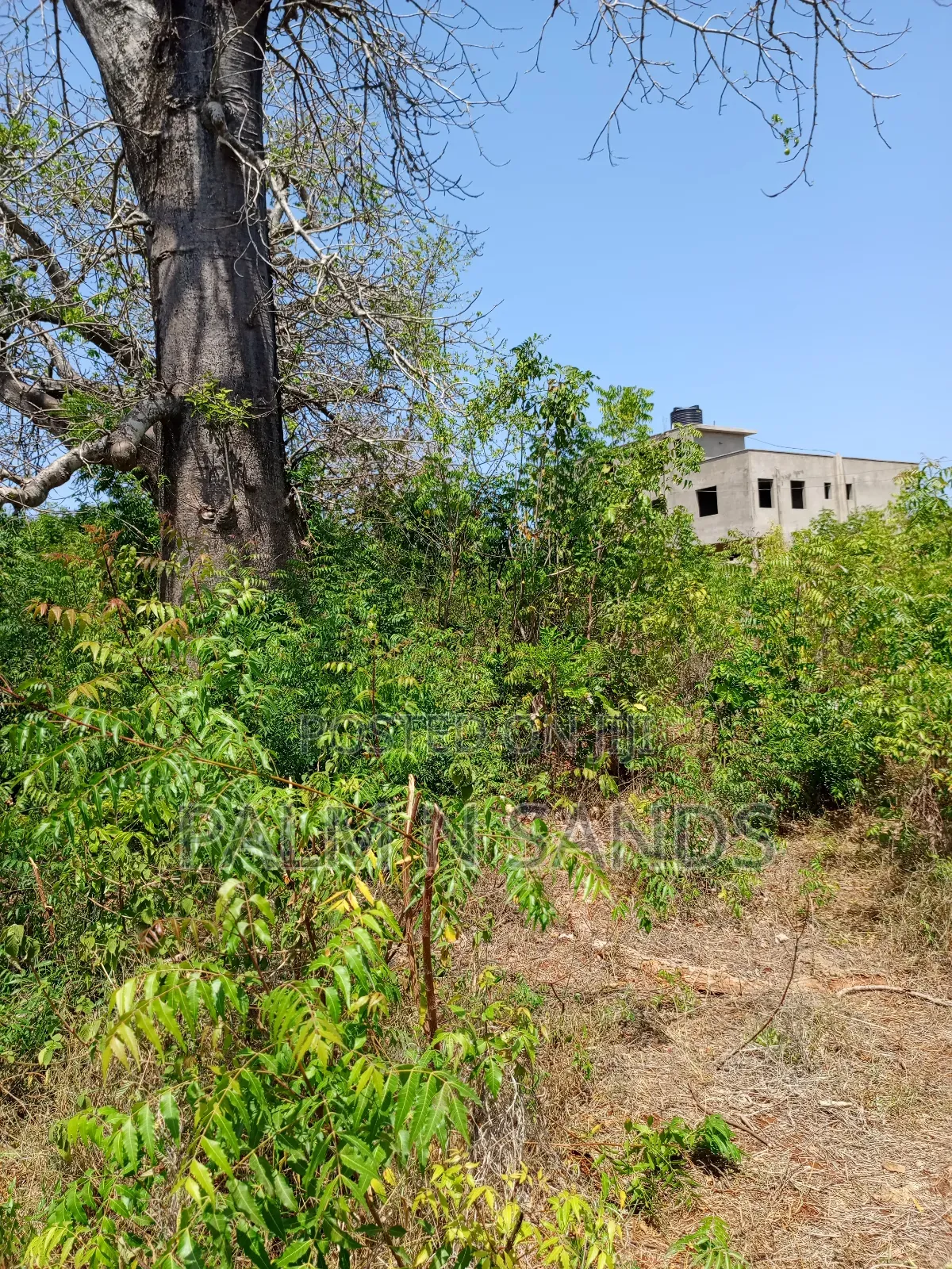 One Acre in Villa Mandhari/Manyatta Area in Diani on Sale! in Ukunda