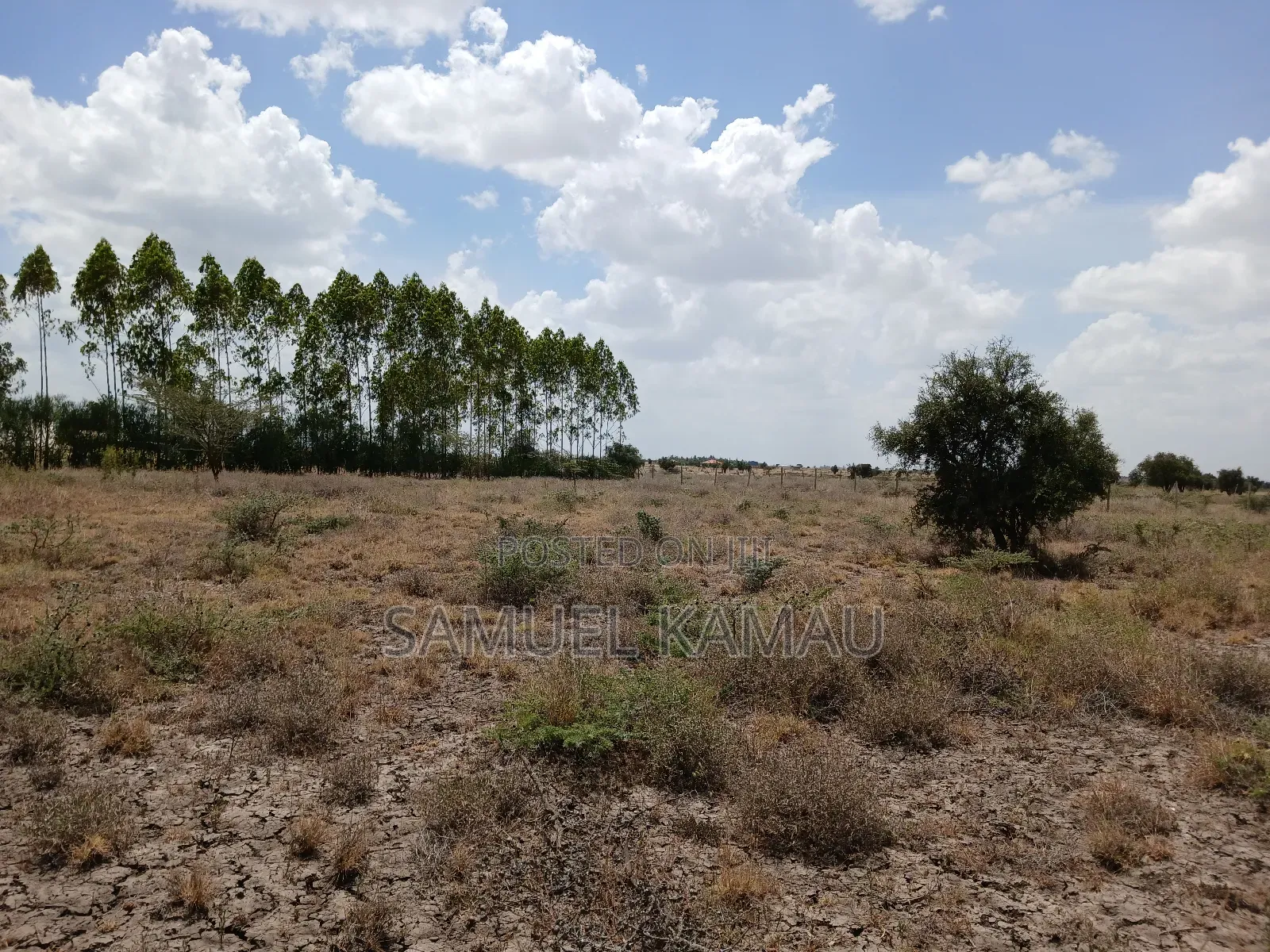 Kitengela, 2 Acres Near Ostrich Farm in Kitengela