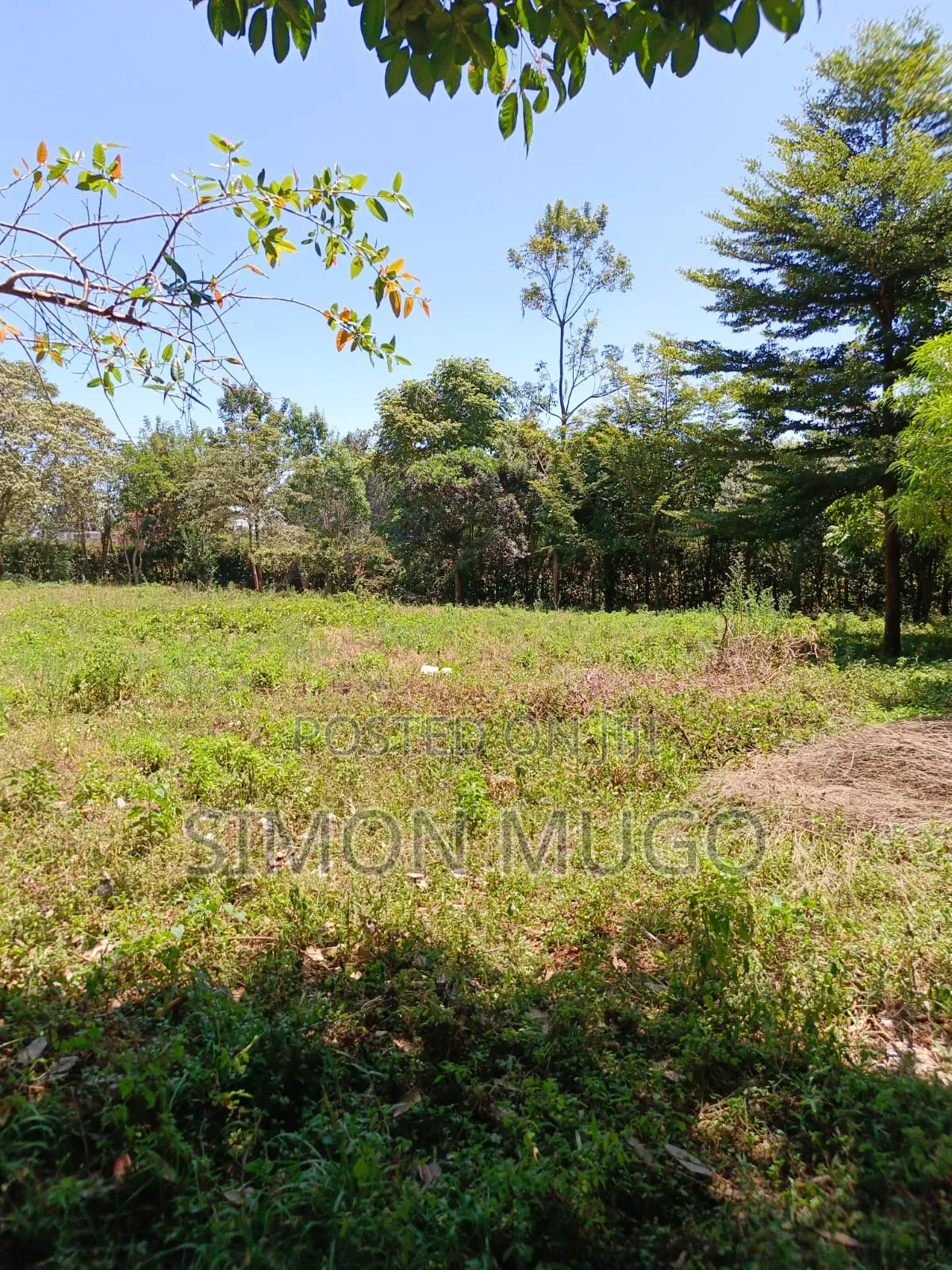 Karen Fair Acres Prime 1.25 Acres in Karen