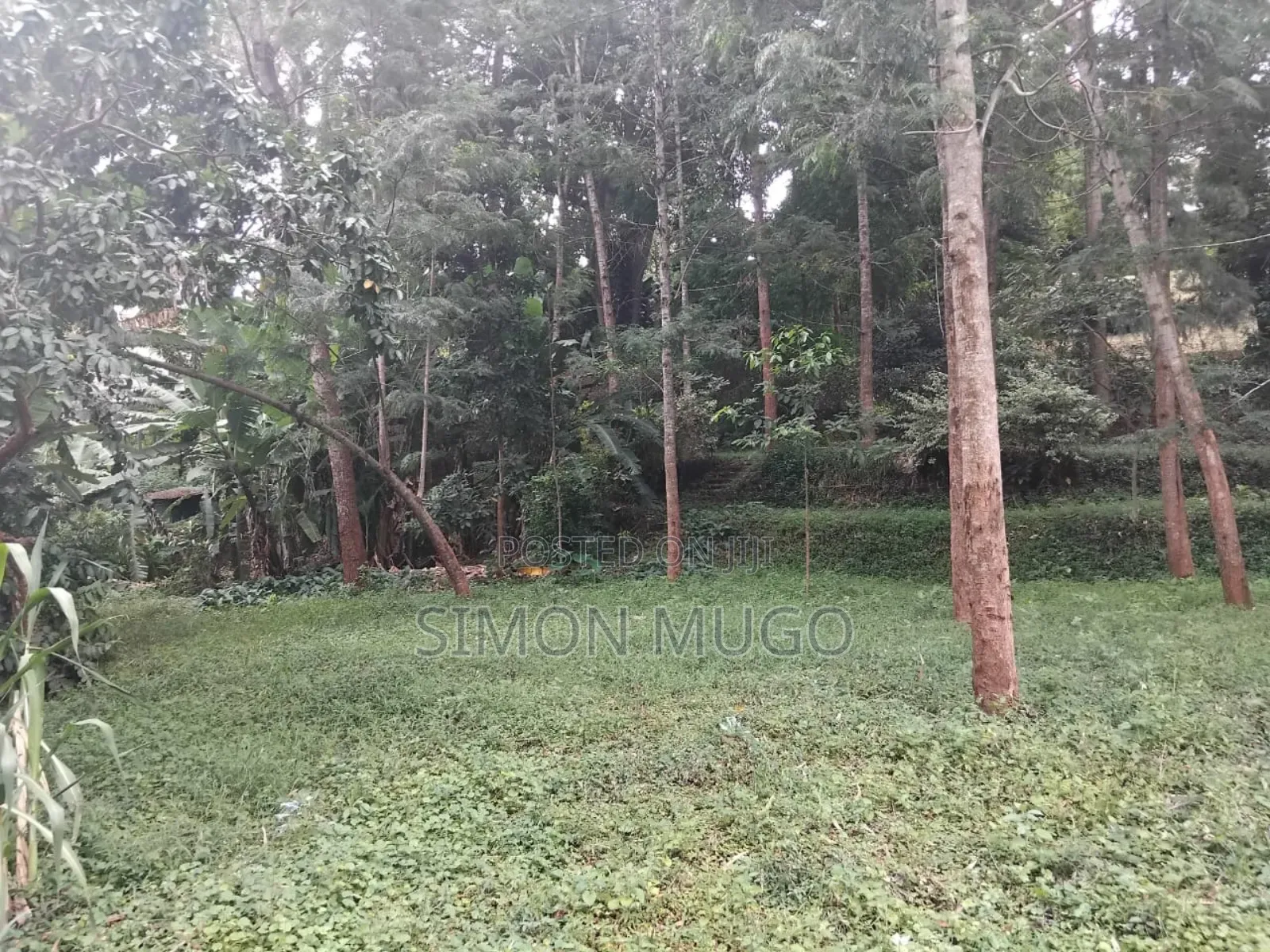Karen Fair Acres Prime 1.25 Acres in Karen