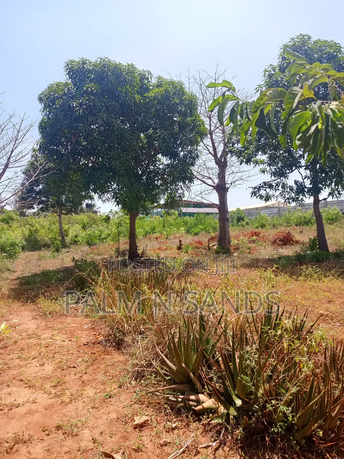 One Acre in Area Opposite Bahari Dhow Resort Diani on Sale in Ukunda