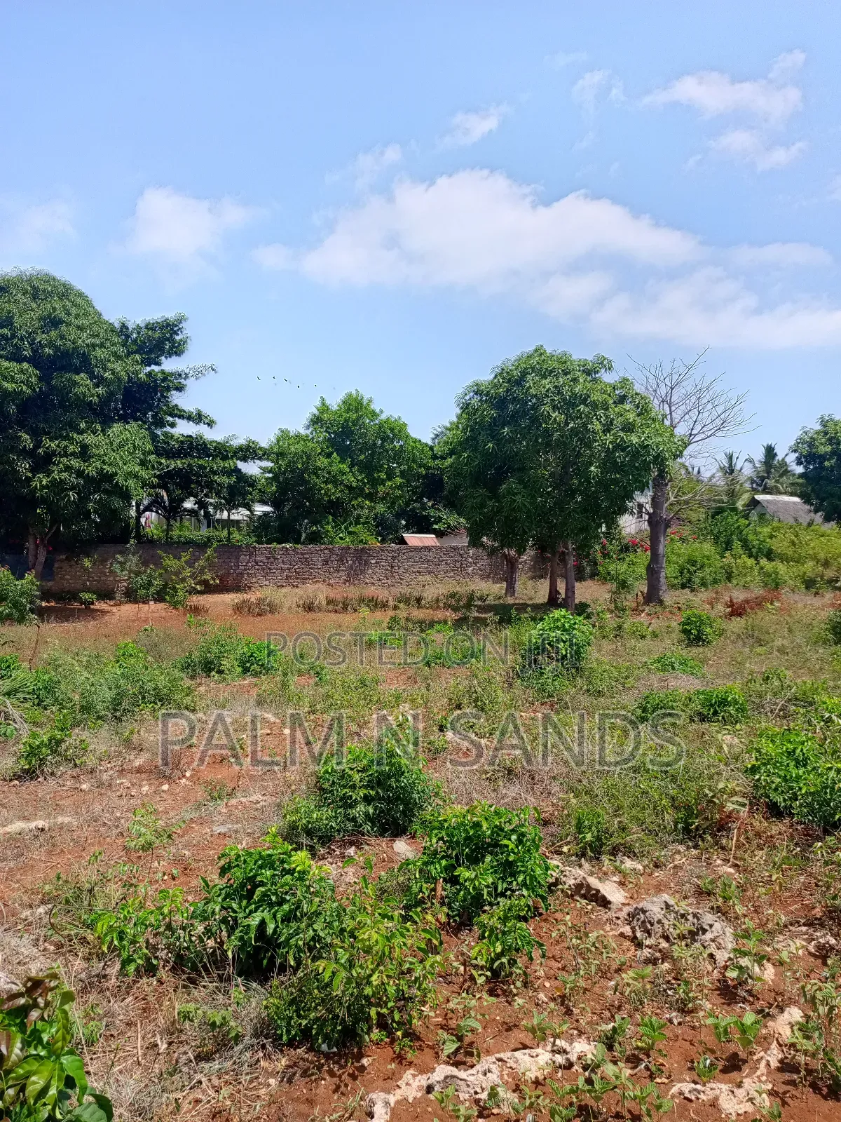 One Acre in Area Opposite Bahari Dhow Resort Diani on Sale in Ukunda