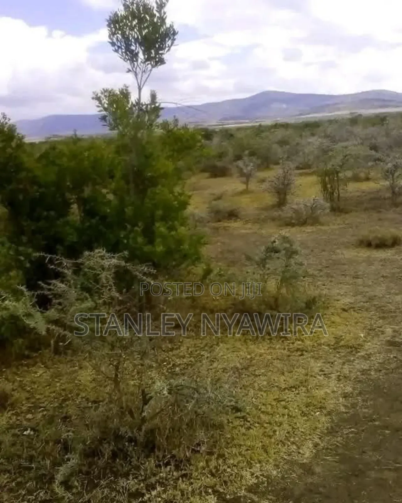 2 Acres Nanyuki Mukima in Laikipia East