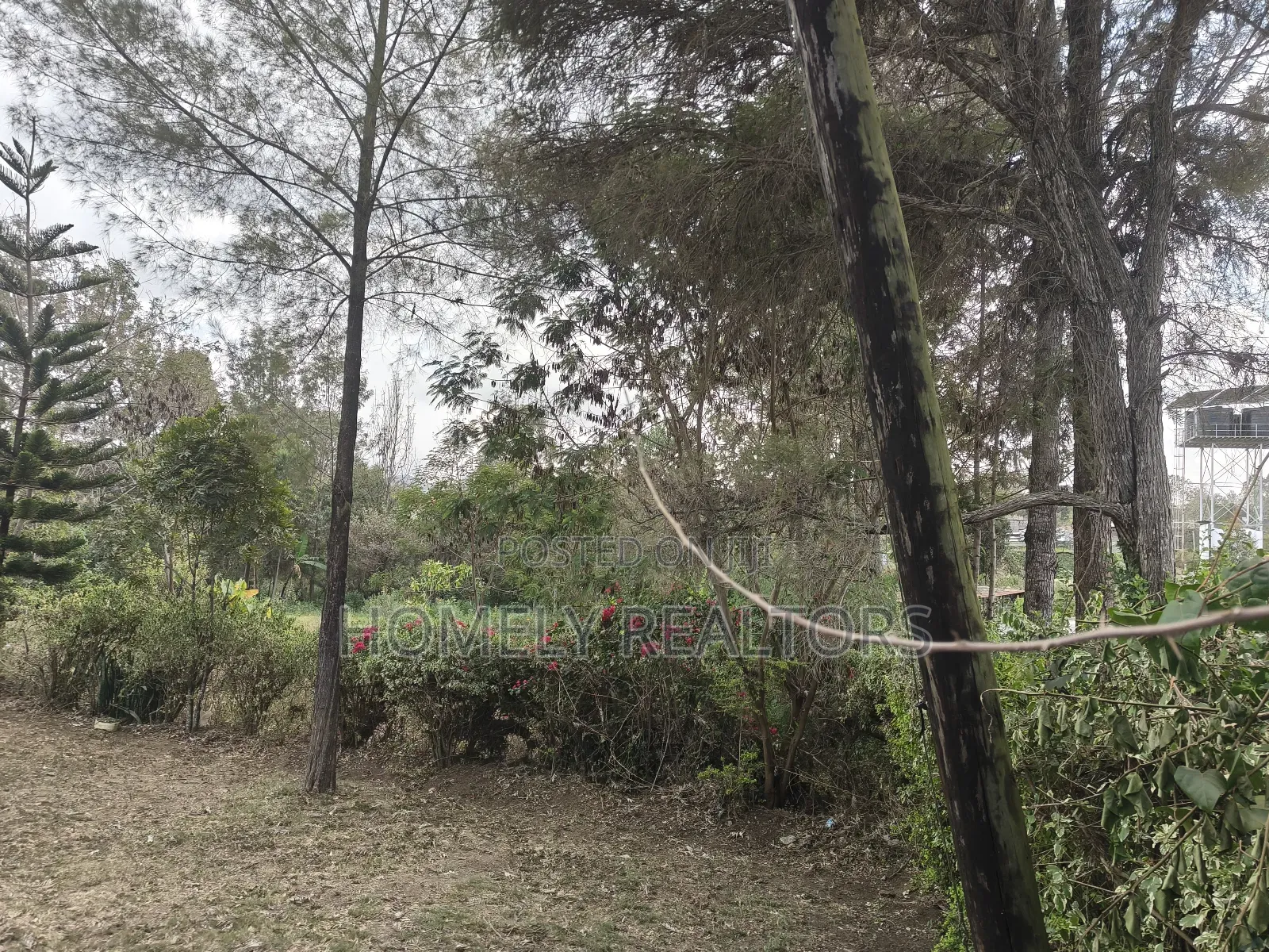 Half Acre Plot for Sale in Ngong Olkeri. Has Incomplete 2bdrm House in Ol Keri