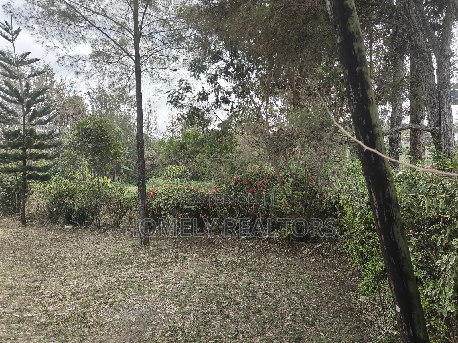 Half Acre Plot for Sale in Ngong Olkeri. Has Incomplete 2bdrm House in Ol Keri