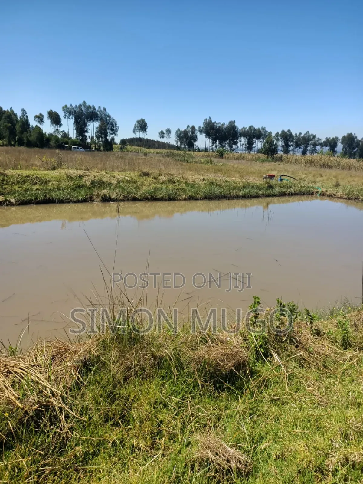 Nyahururu Prime 40 Acres Agricultural Land in Nyahururu