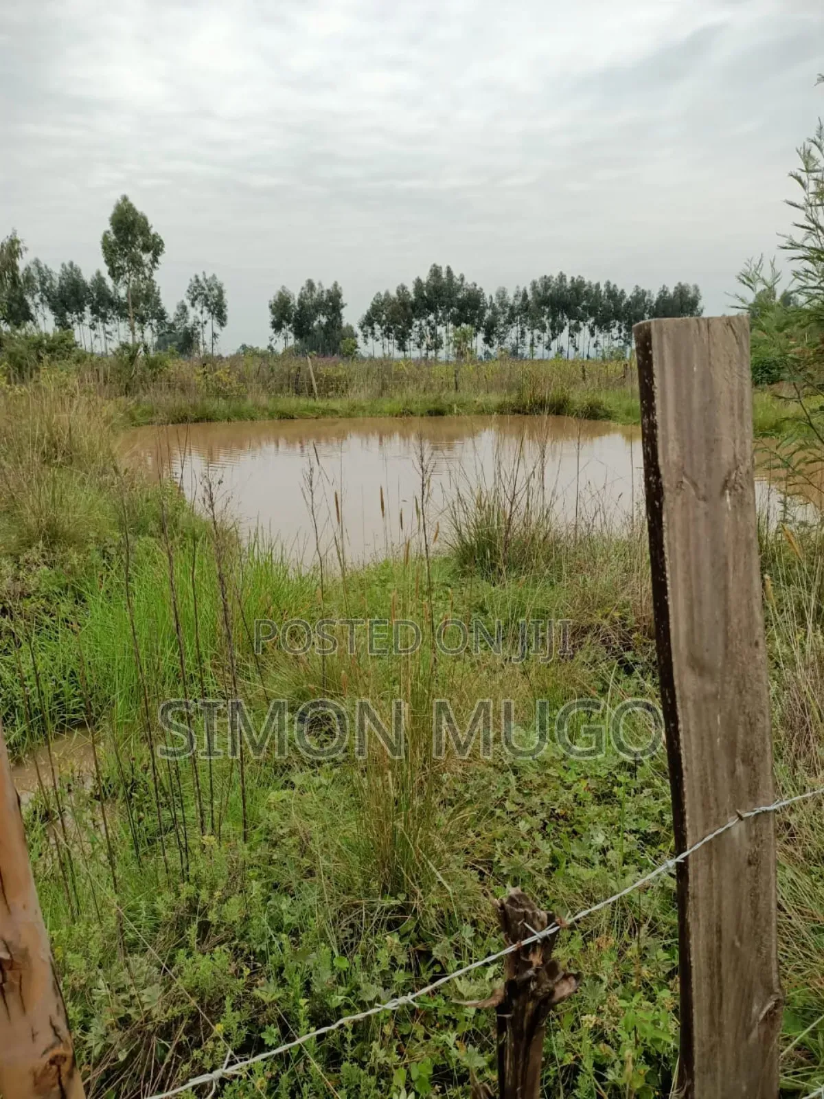 Nyahururu Prime 40 Acres Agricultural Land in Nyahururu