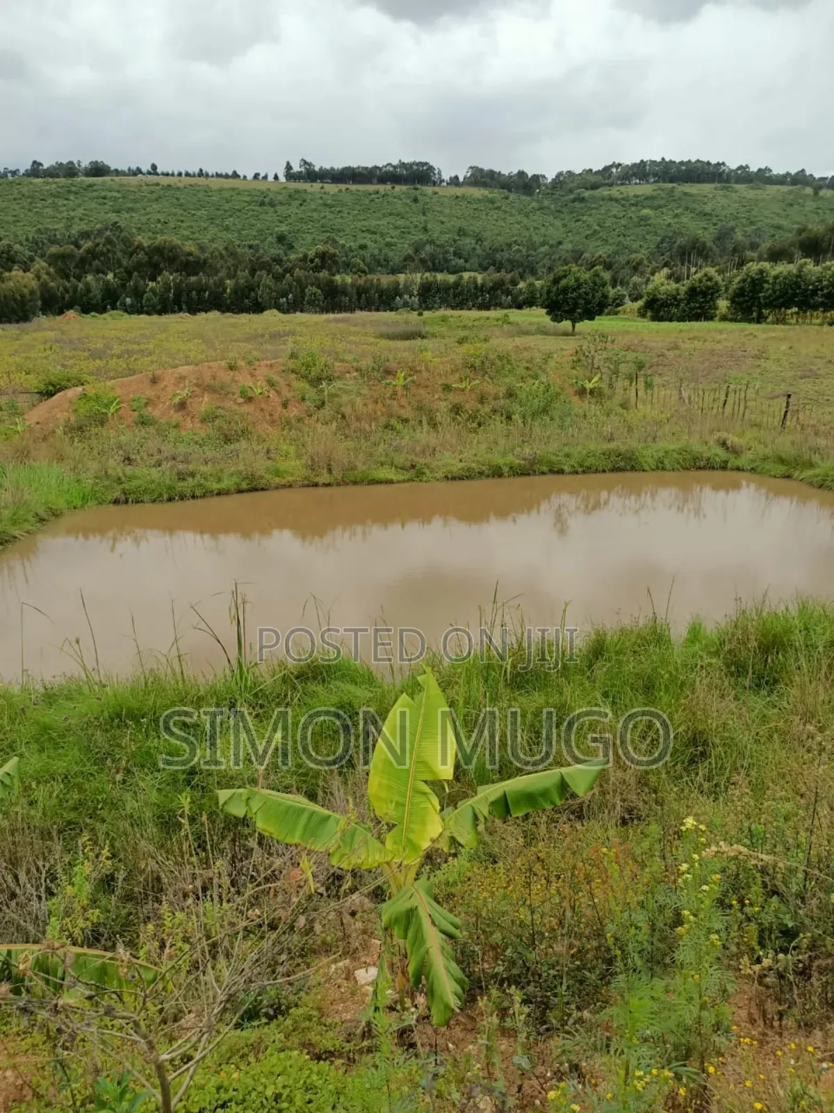 Nyahururu Prime 40 Acres Agricultural Land in Nyahururu