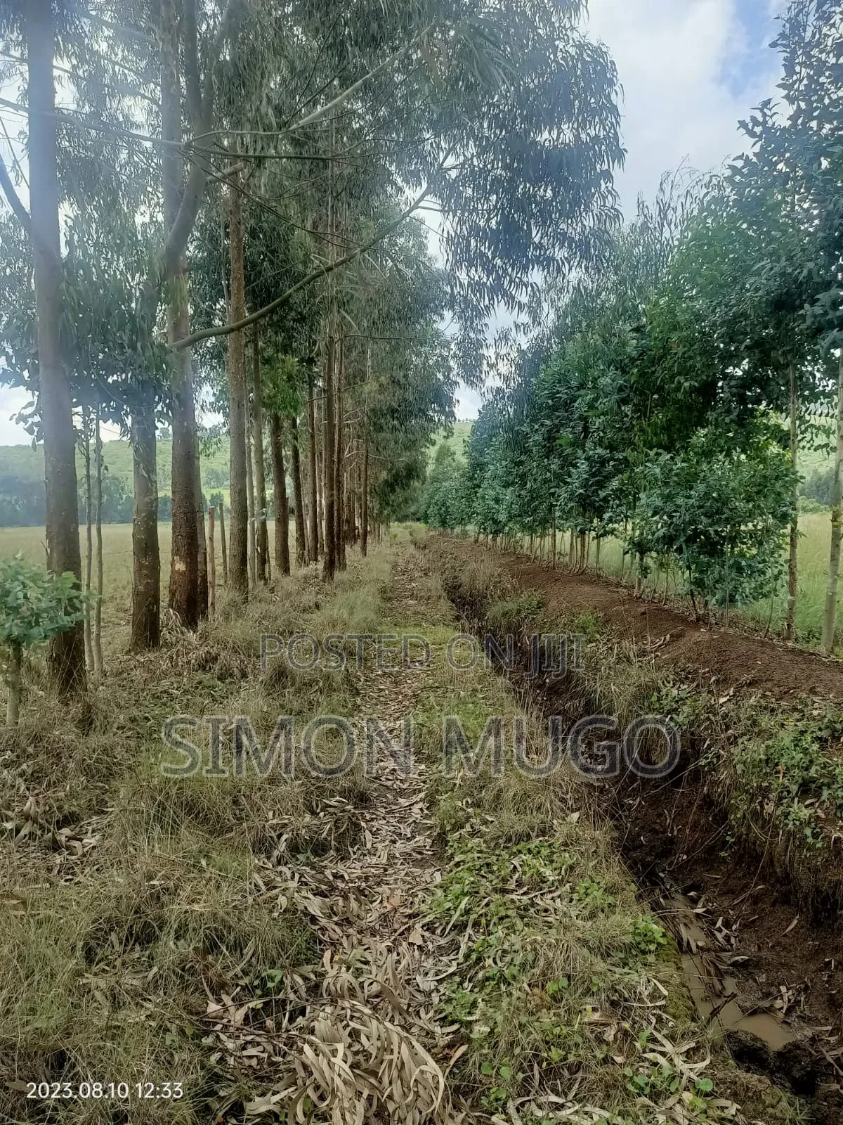 Nyahururu Prime 40 Acres Agricultural Land in Nyahururu