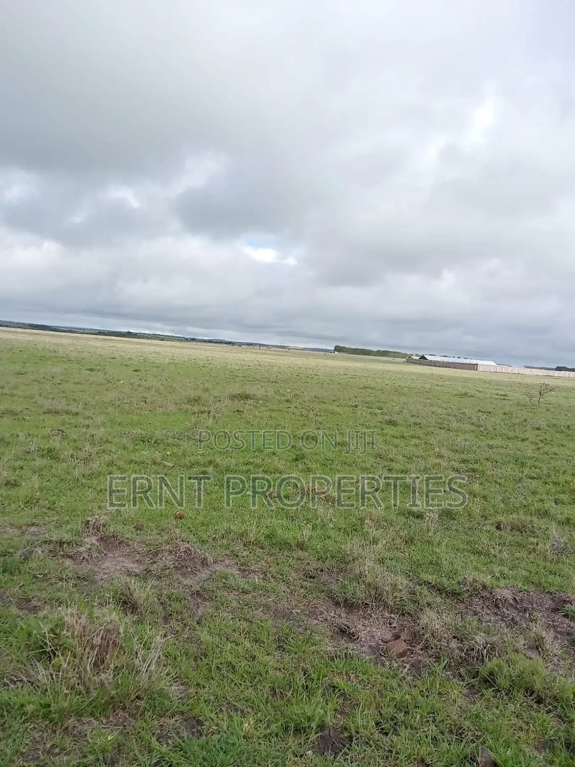 2 Adjacent Plots In Sabaki in Sabaki