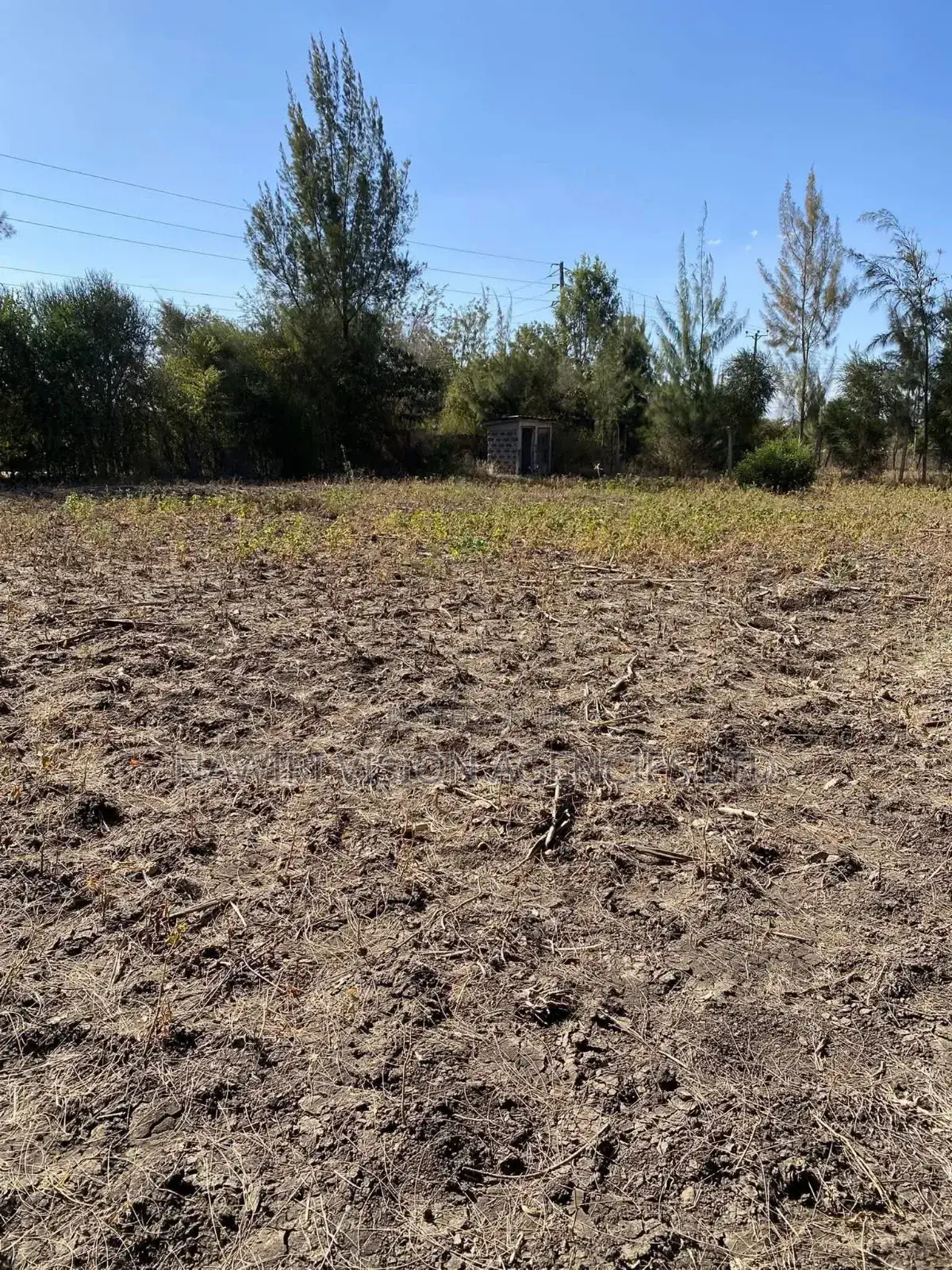 Plots for Sale in Ruai 100*100! in Ruai