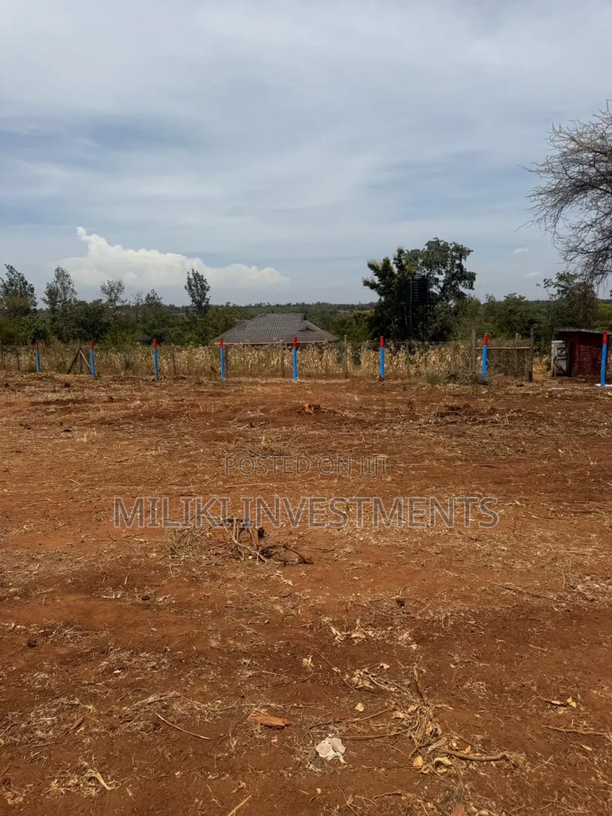 50 by 100 Plots on Sale at Makutano- Mutithi in Mutithi