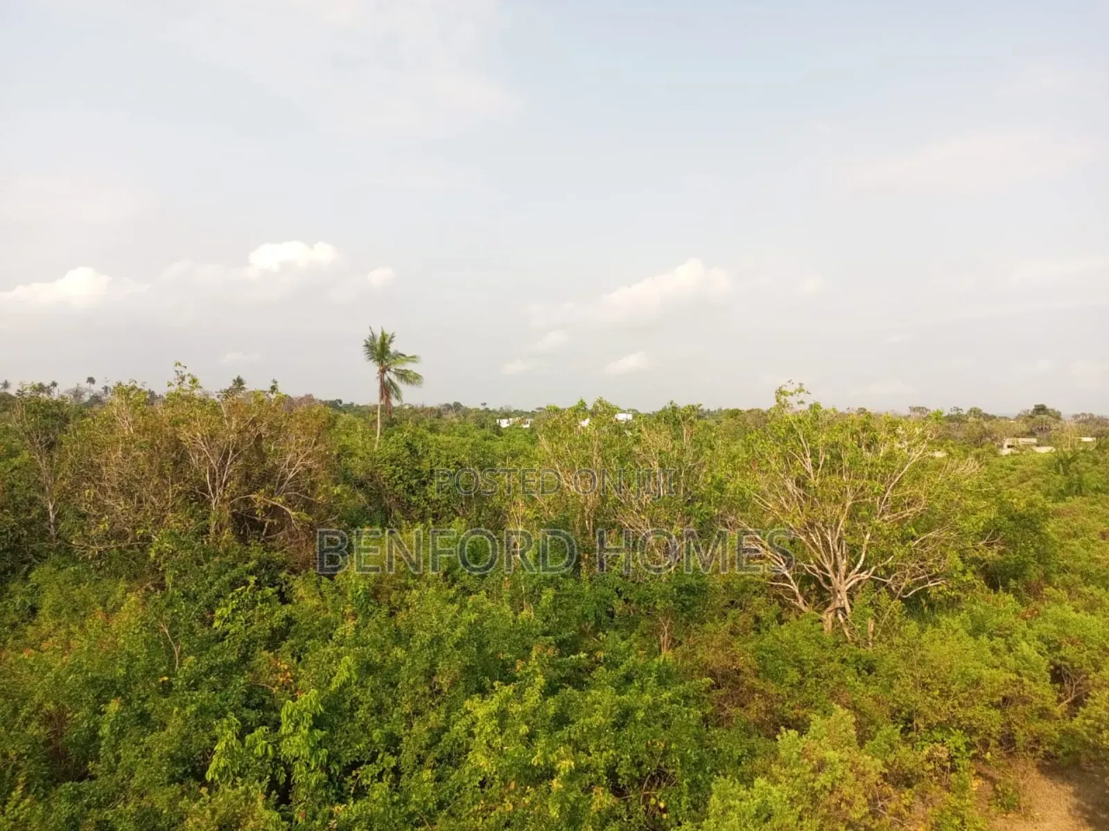 10 Acres Beach Property On Sale Shanzu Mombasa in Shanzu
