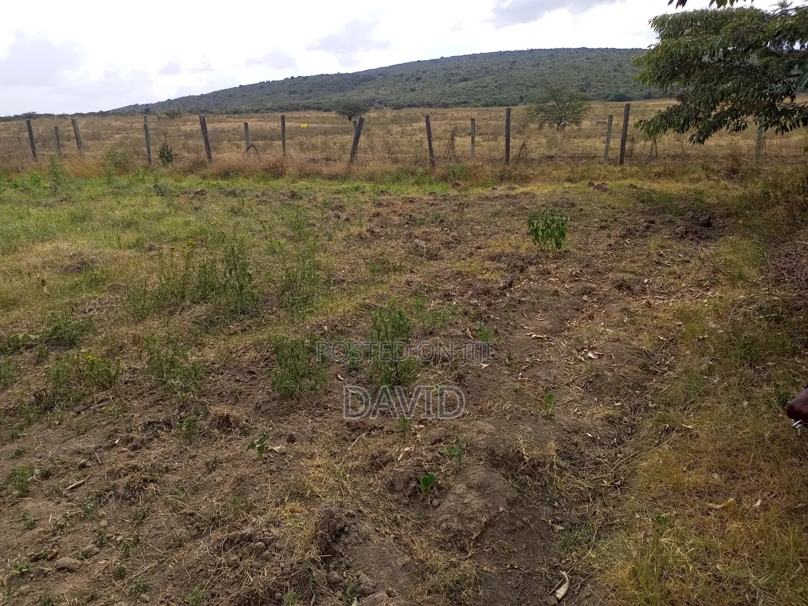 Two Acres for Sale Fronting Lake Nakuru National Park in Nakuru Town East