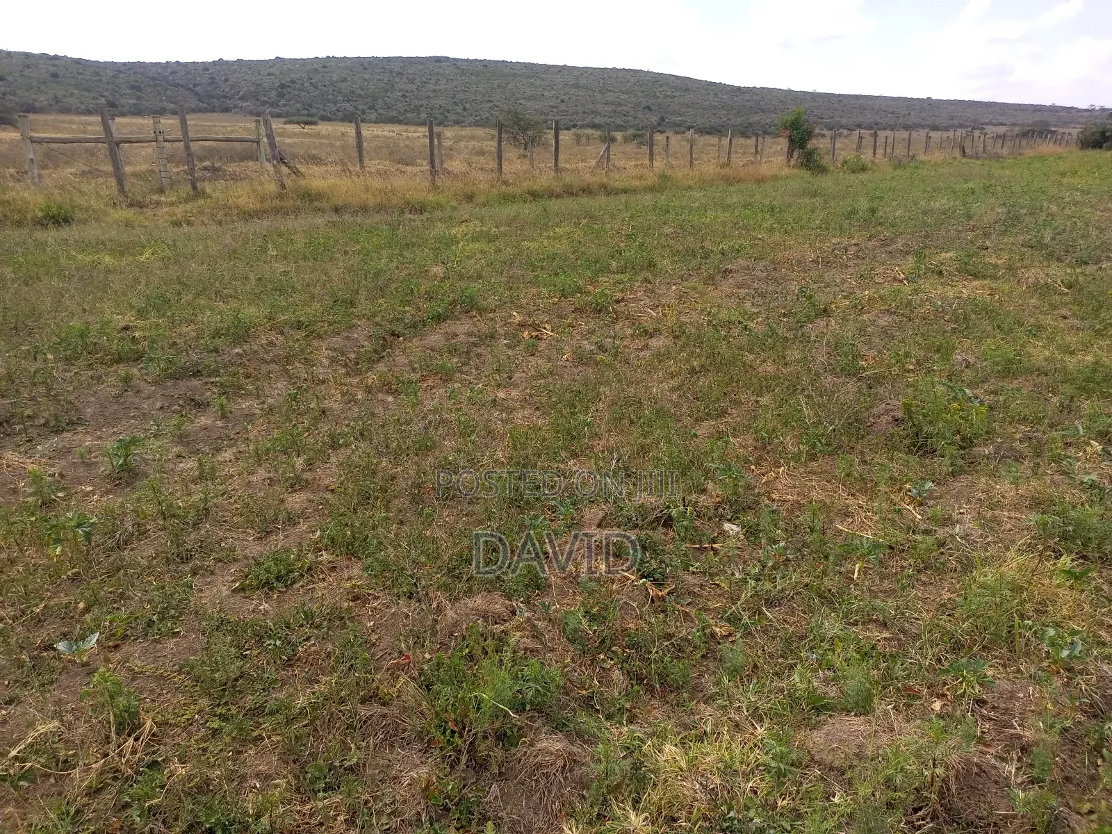 Two Acres for Sale Fronting Lake Nakuru National Park in Nakuru Town East