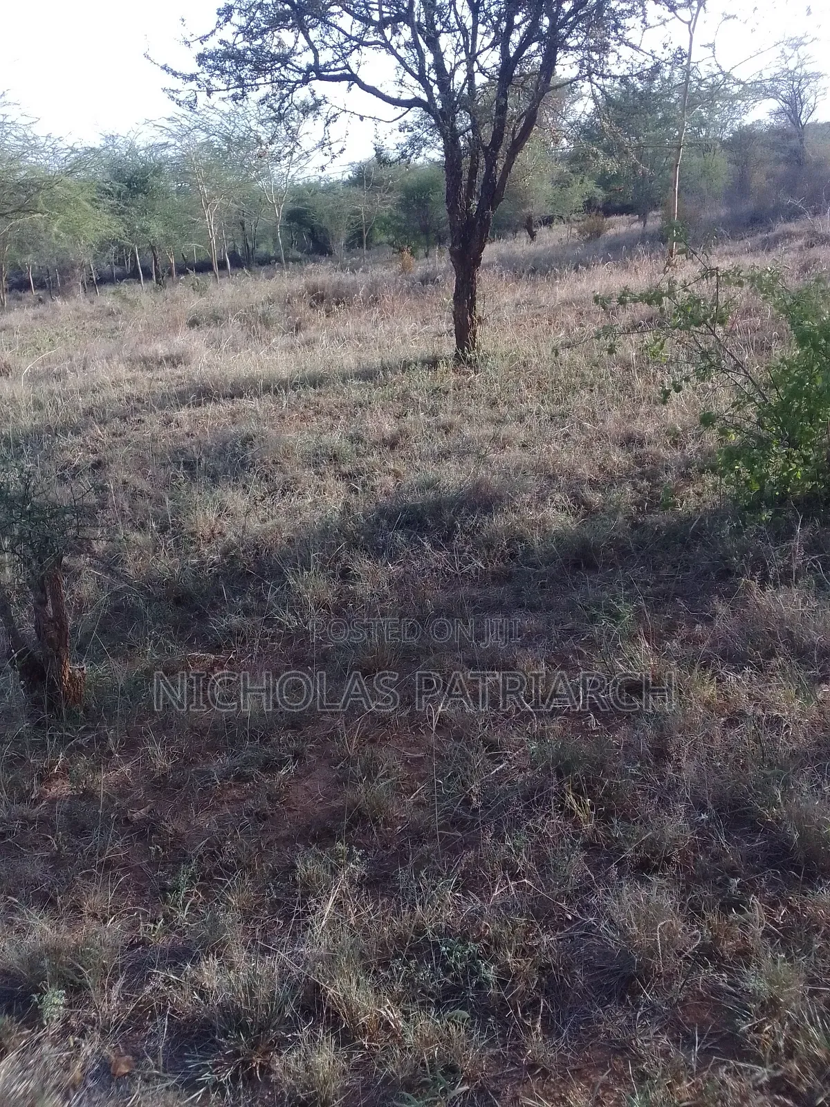 14 Acres Kathonzweni-Makueni Selling at Per Acre. in Kathonzweni