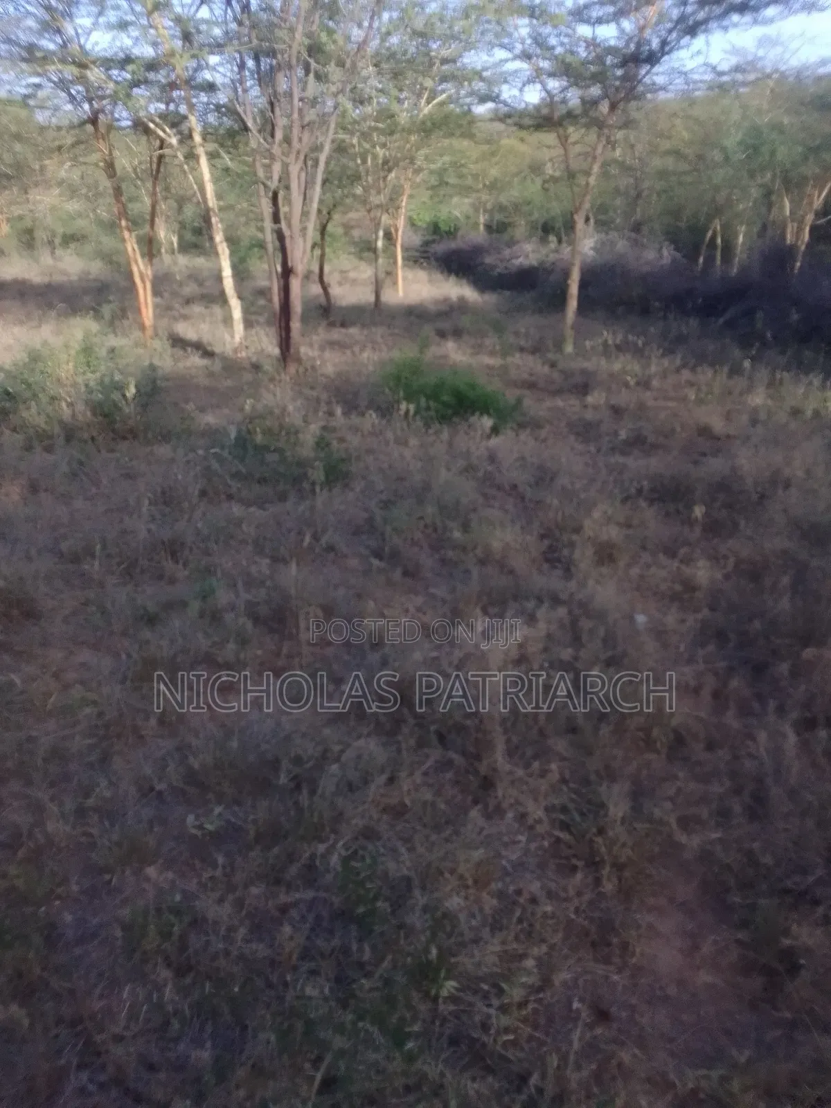14 Acres Kathonzweni-Makueni Selling at Per Acre. in Kathonzweni