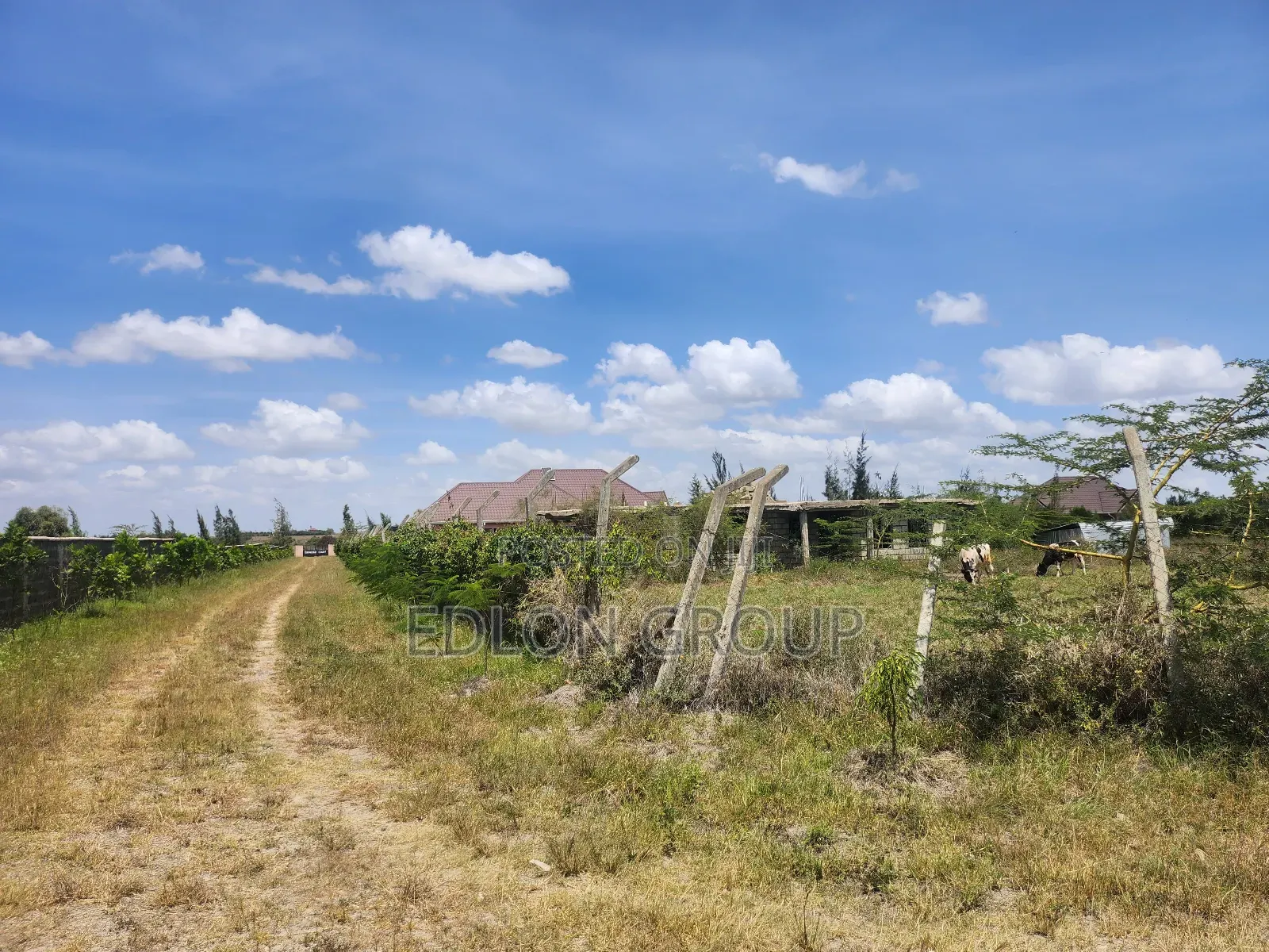 Eight Acre Plots in Ostrich Kitengela in Kitengela