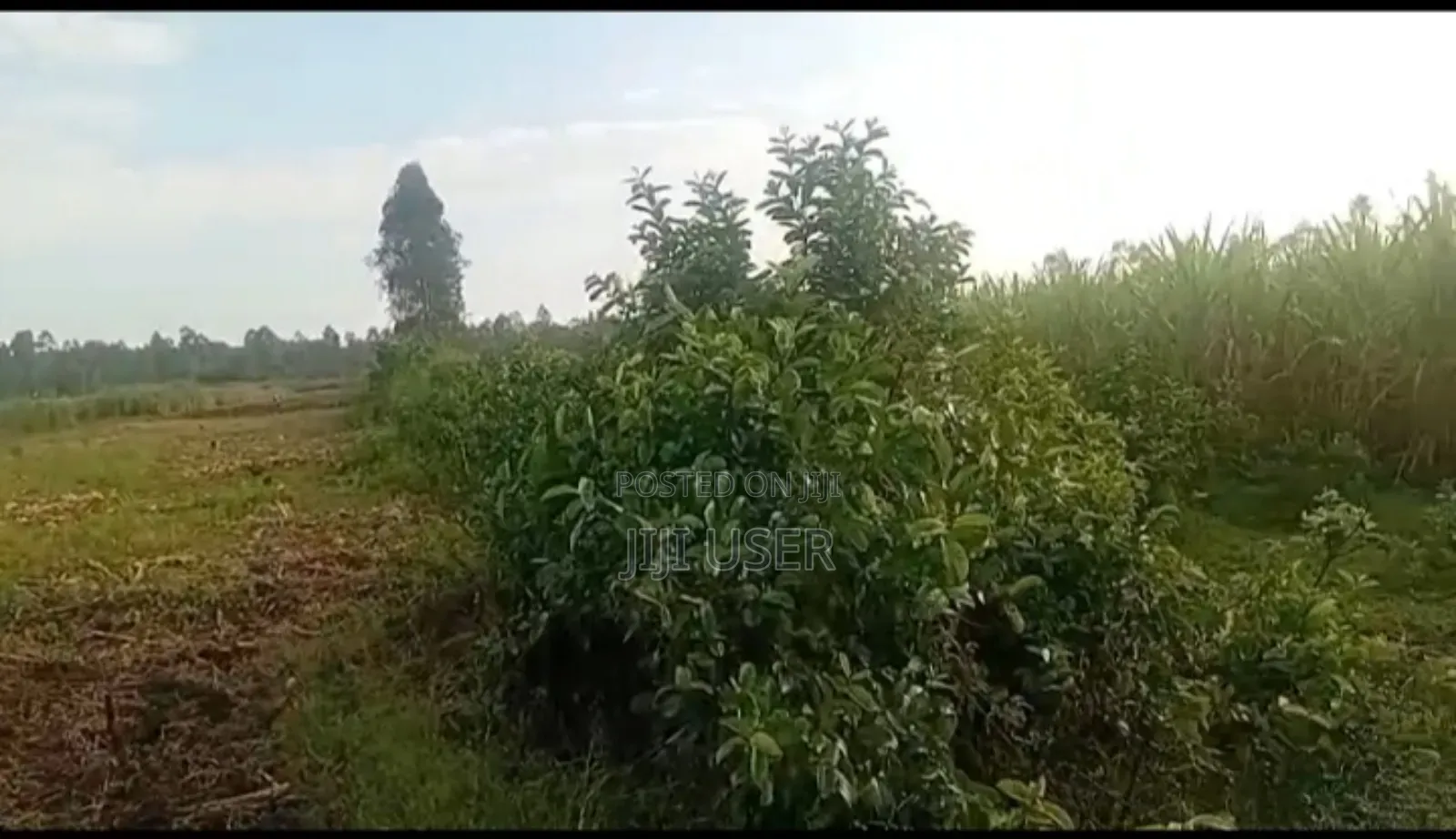 25 Acres in Marindi Area Homa Bay in Homa Bay Central
