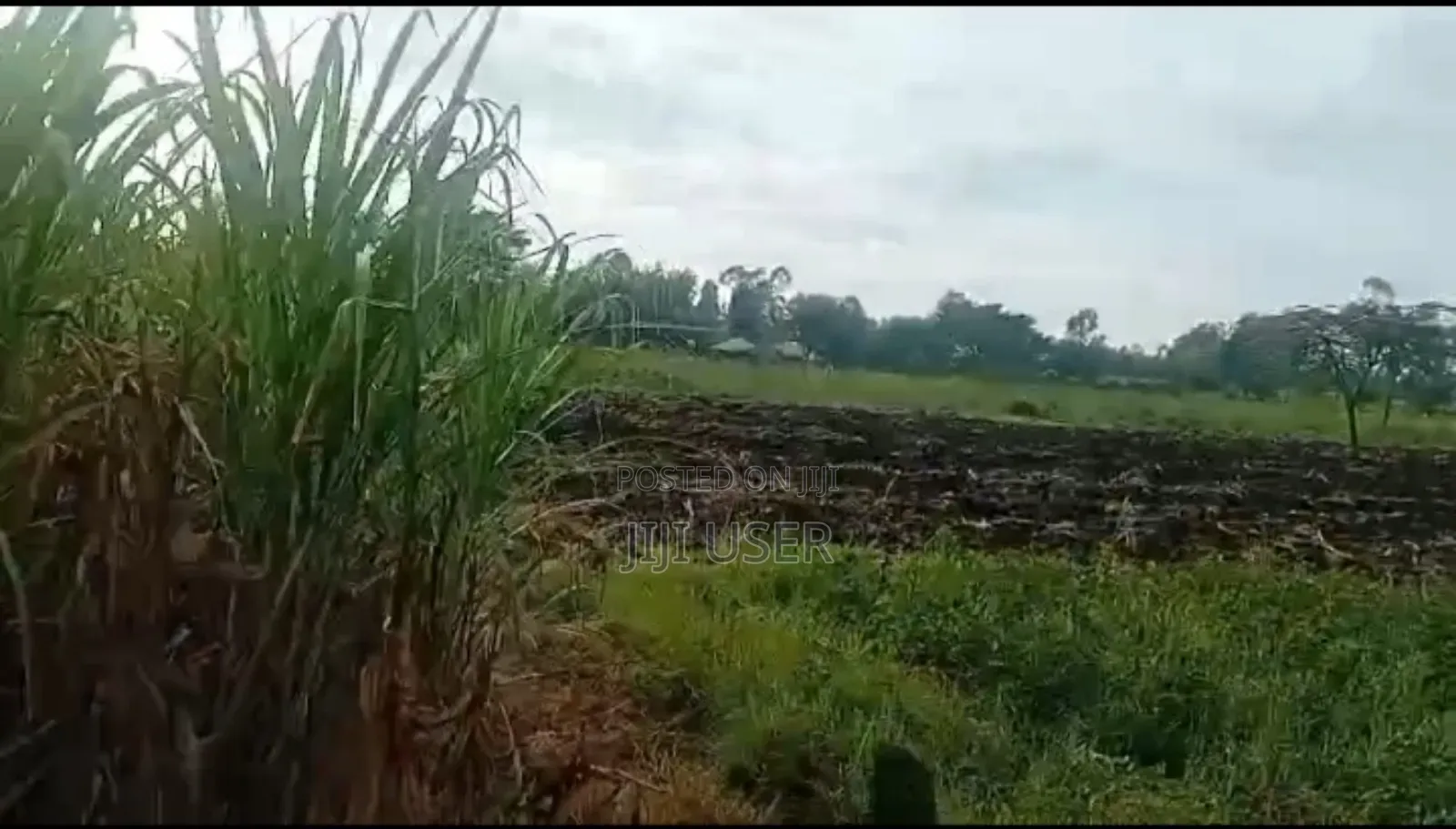 25 Acres in Marindi Area Homa Bay in Homa Bay Central