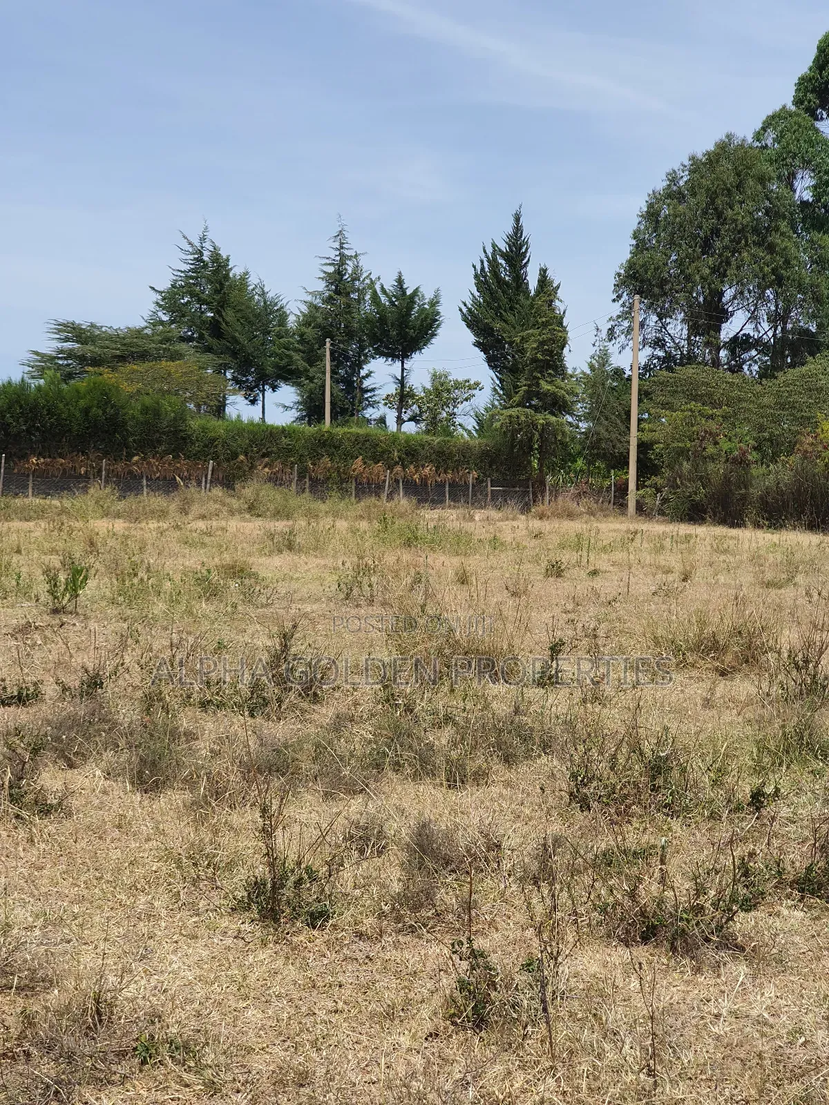 Plots in Airstrip Area in Nanyuki