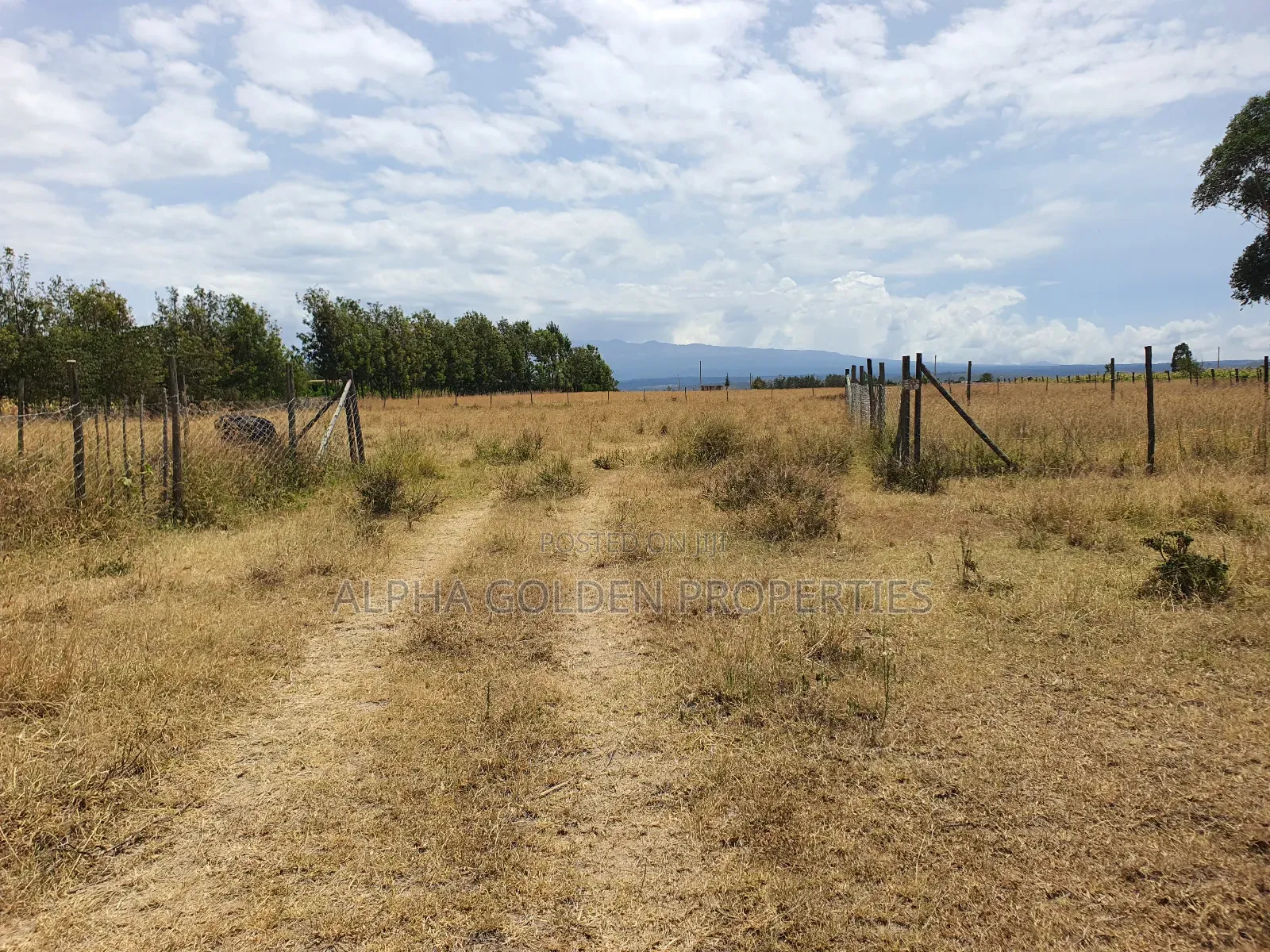 Plots in Airstrip Area in Nanyuki