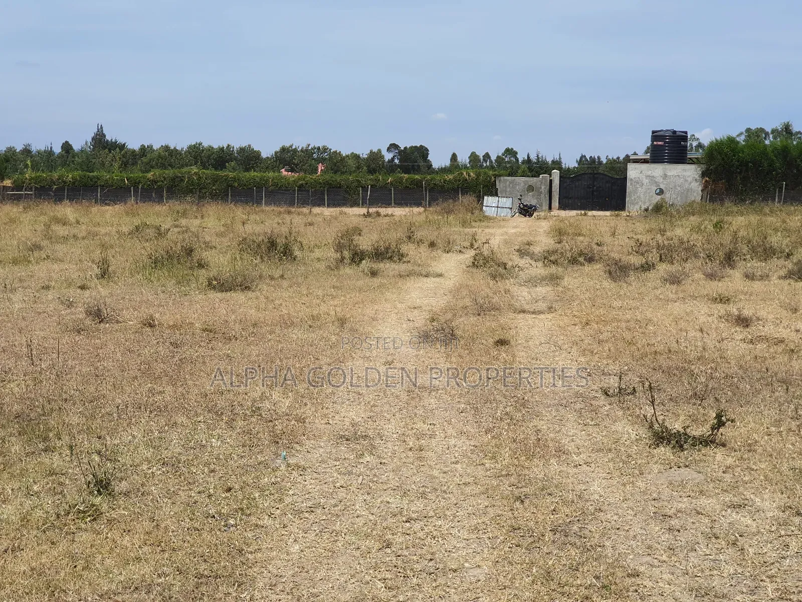Plots in Airstrip Area in Nanyuki