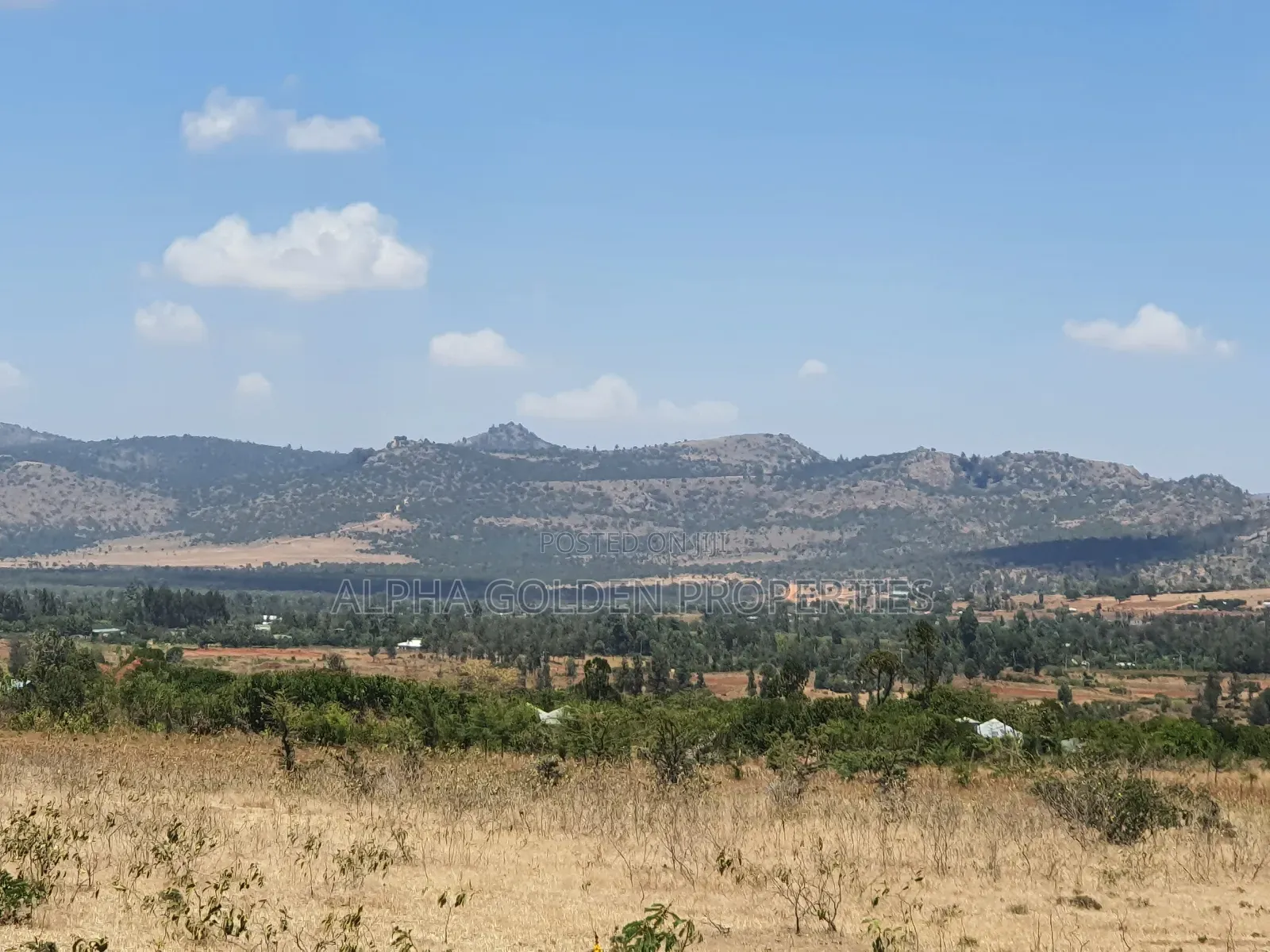 4 Acres in Ol Daiga in Nanyuki