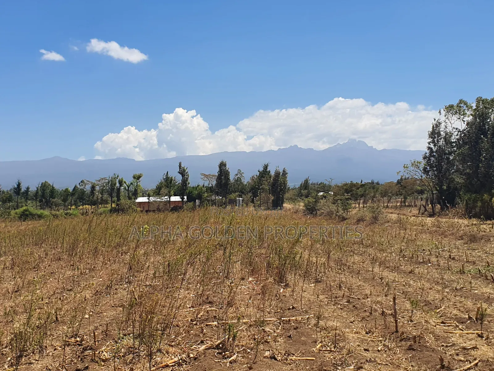 4 Acres in Ol Daiga in Nanyuki