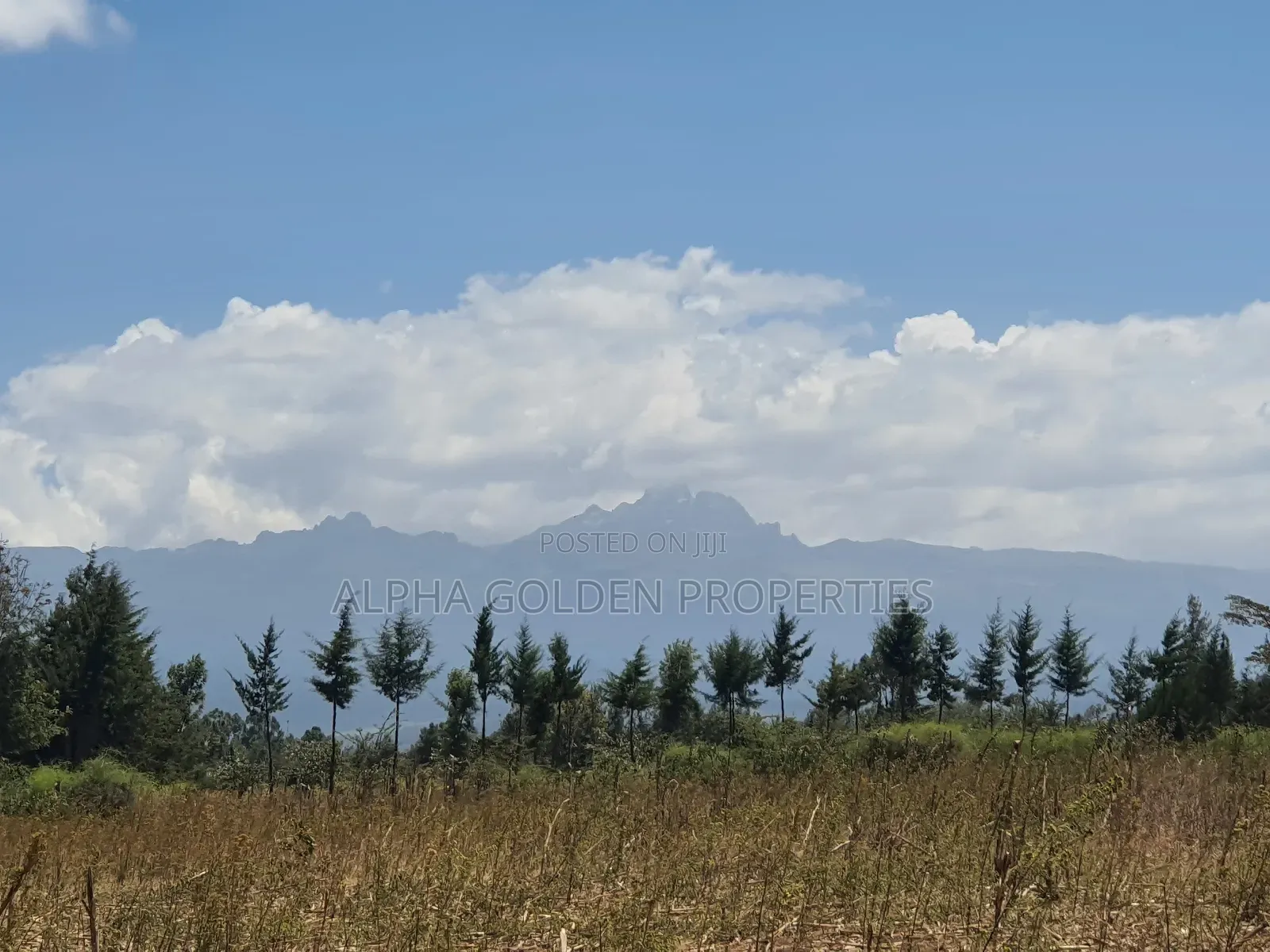 4 Acres in Ol Daiga in Nanyuki