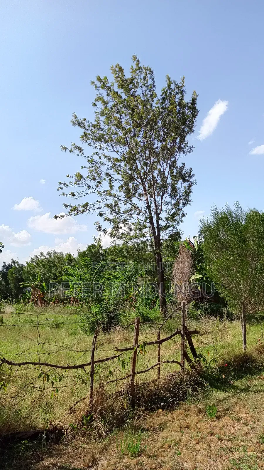 Garden Estate Residential 1/2 Acre on Sale, Title in Nairobi Central