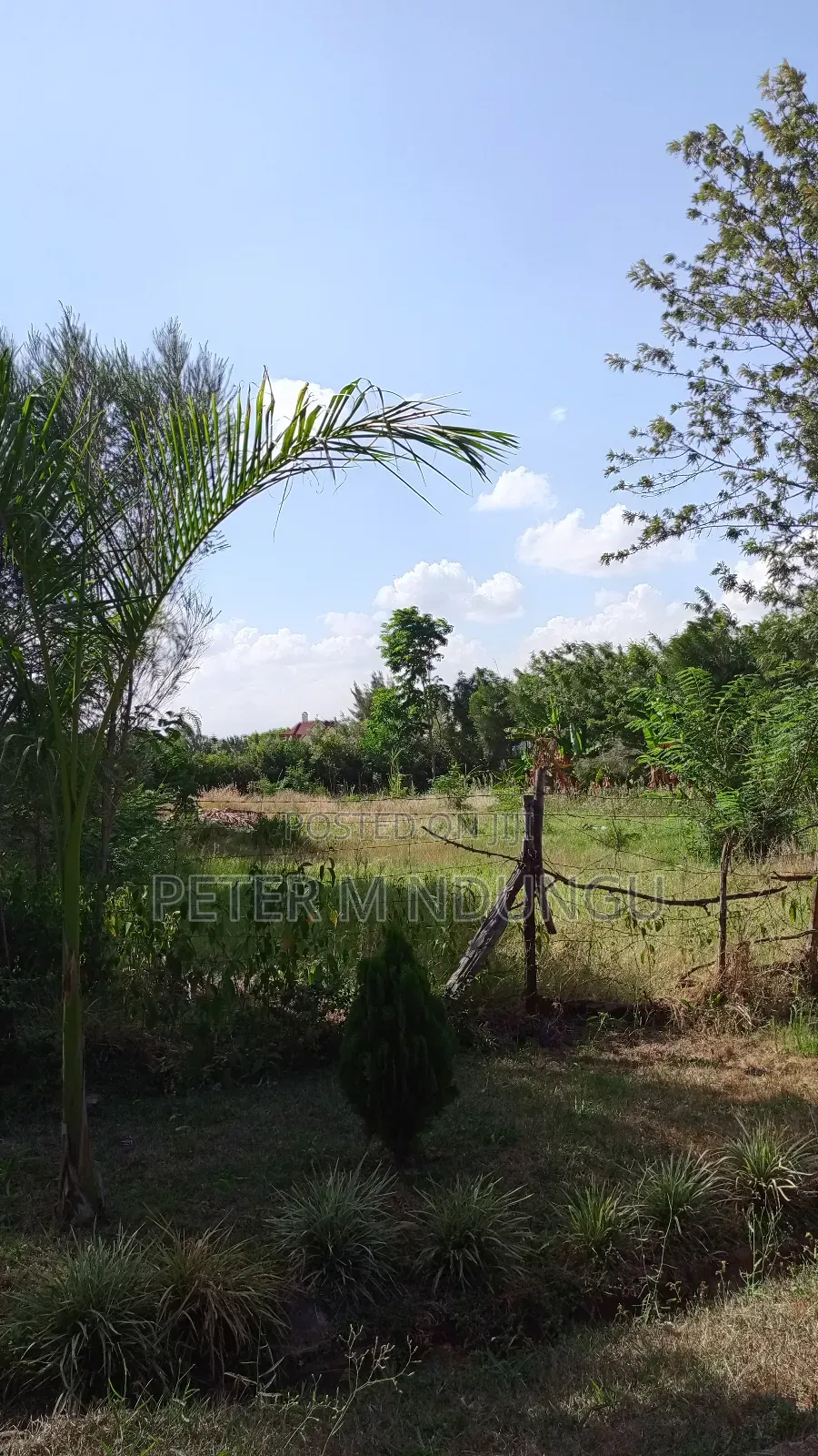 Garden Estate Residential 1/2 Acre on Sale, Title in Nairobi Central