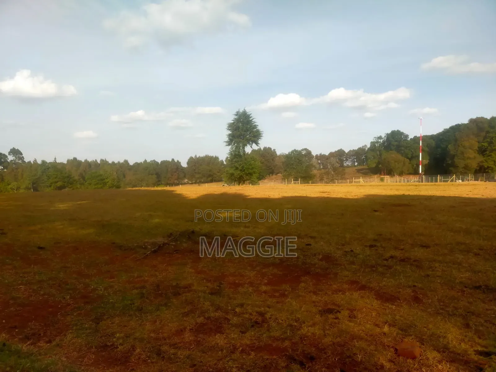 Land for Sale in Tigoni in Tigoni