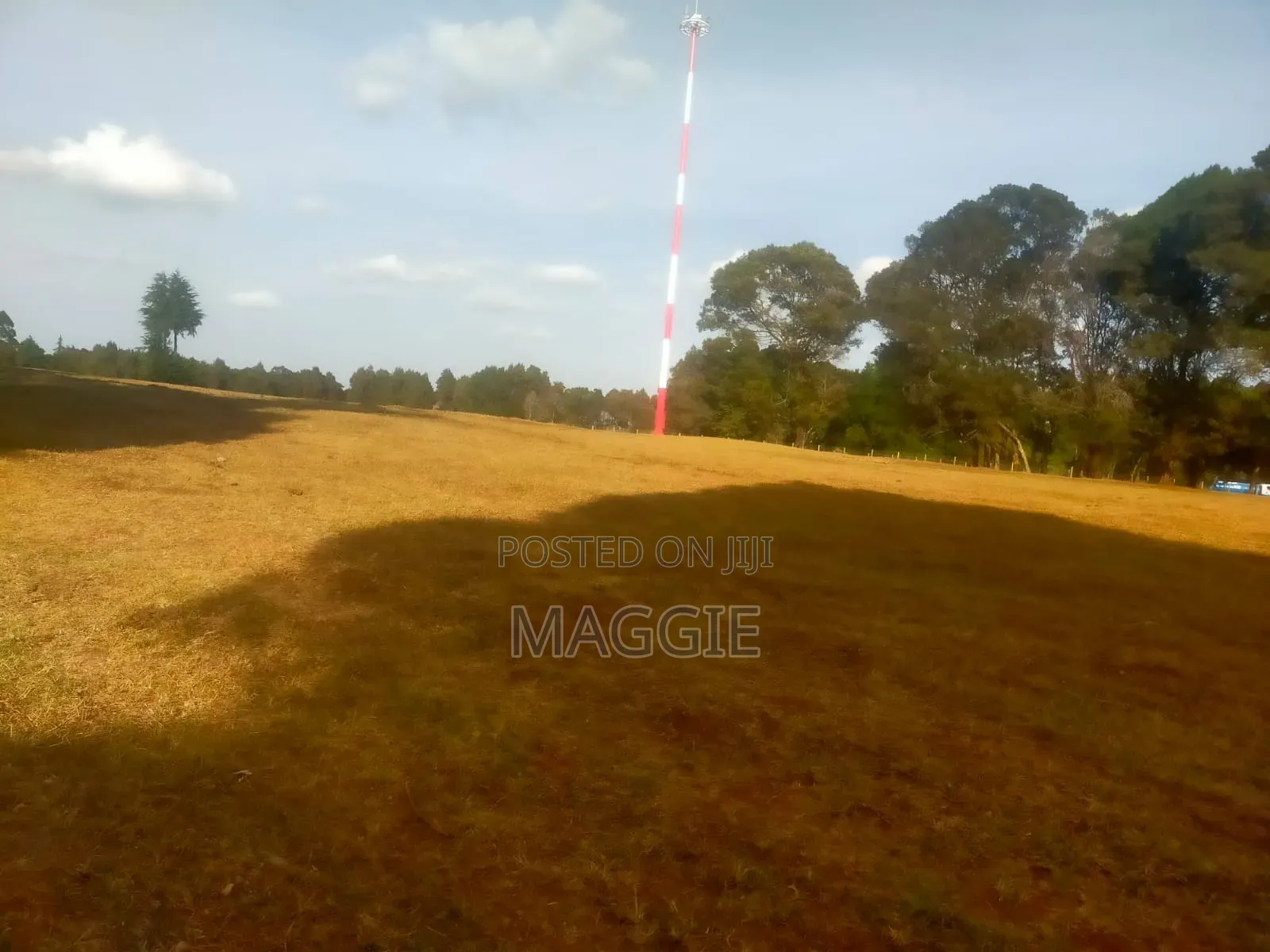 Land for Sale in Tigoni in Tigoni