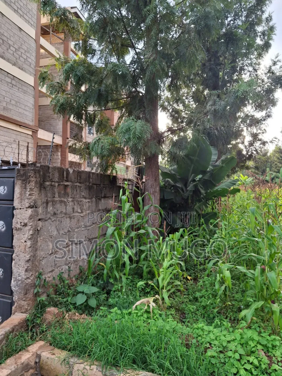 Kiamumbi Kamiti Road Prime Commercial 1/4 Acre Near Police Station in Kahawa Maziwa