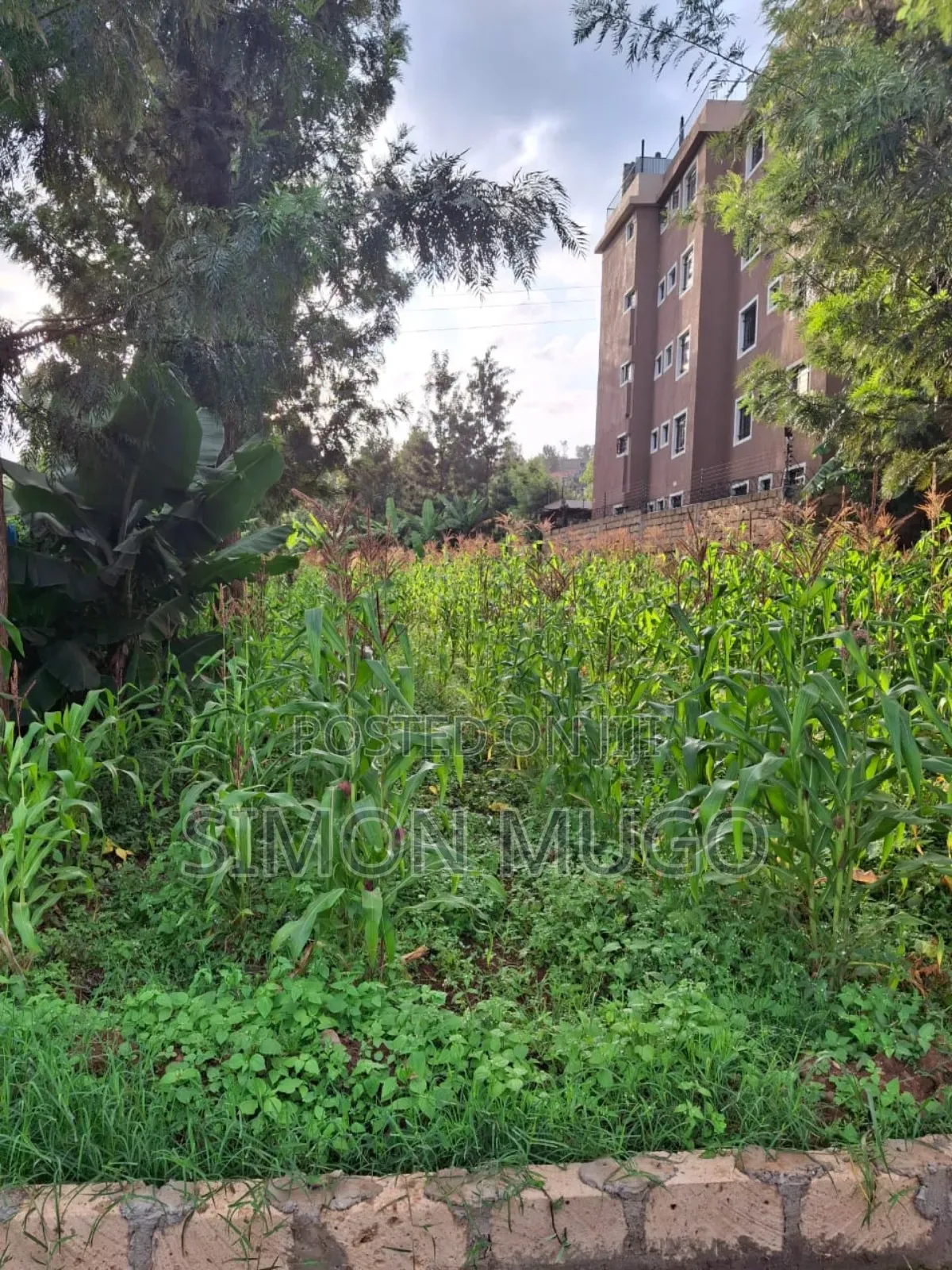 Kiamumbi Kamiti Road Prime Commercial 1/4 Acre Near Police Station in Kahawa Maziwa