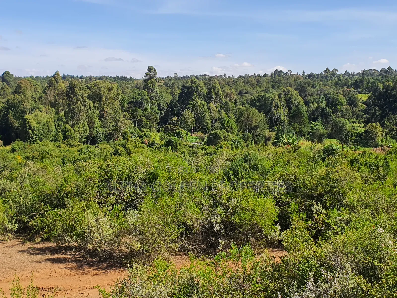 Nanyuki 11 Acres Near Mt Kenya in Gakawa
