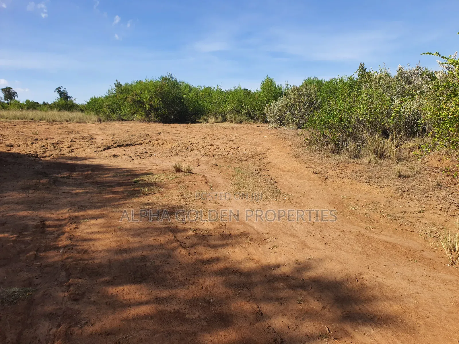 Nanyuki 11 Acres Near Mt Kenya in Gakawa