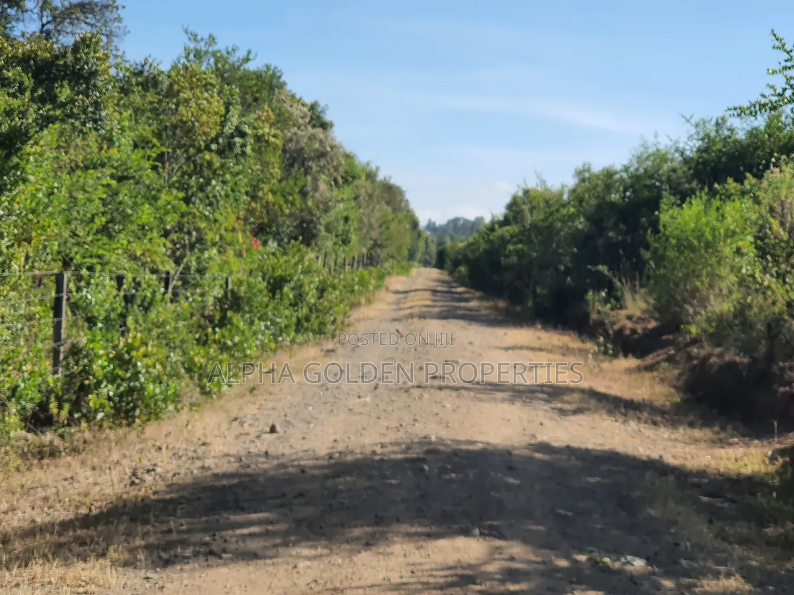 Nanyuki 11 Acres Near Mt Kenya in Gakawa