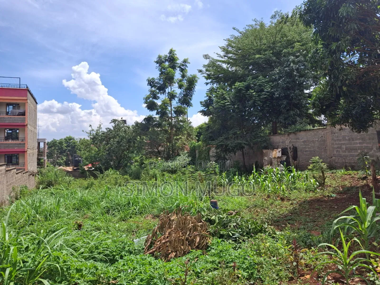 Kiahuria Tora Off Bob Harris Road Prime 1/4 Acre in Mangu