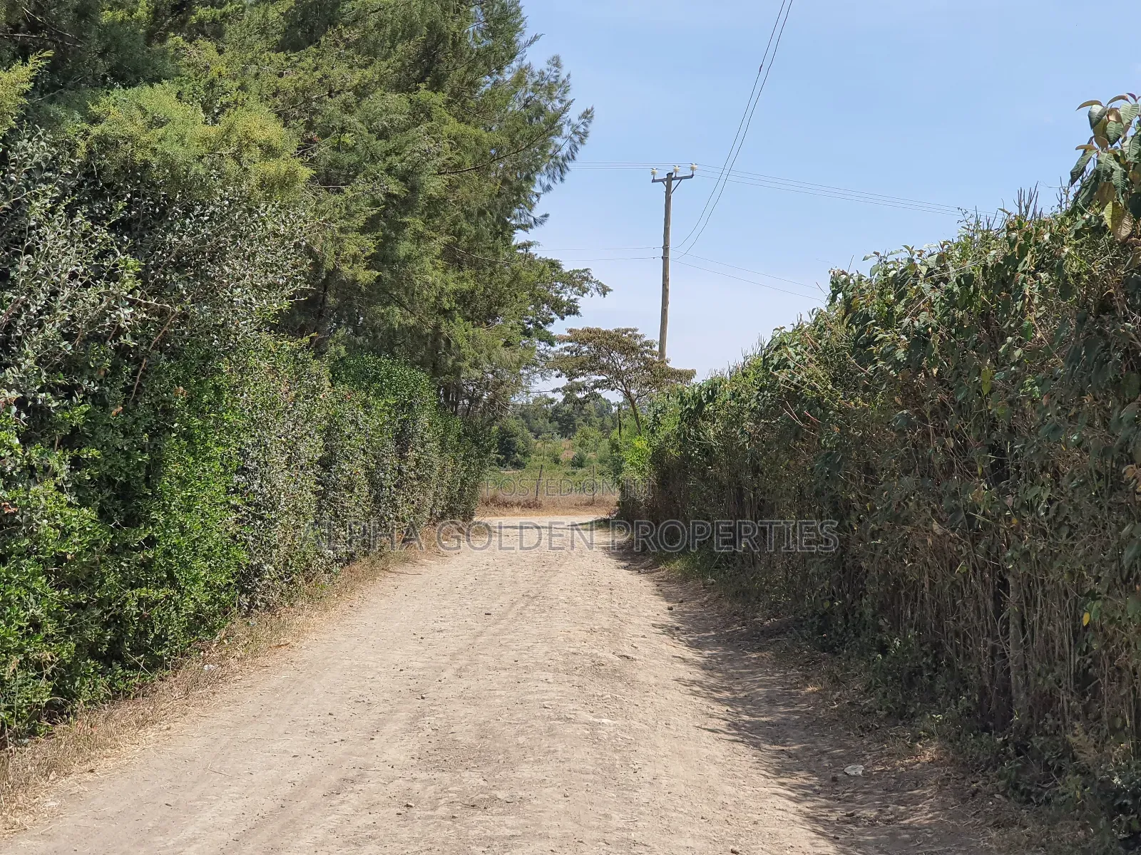 Half Acre in Gakawa in Nanyuki