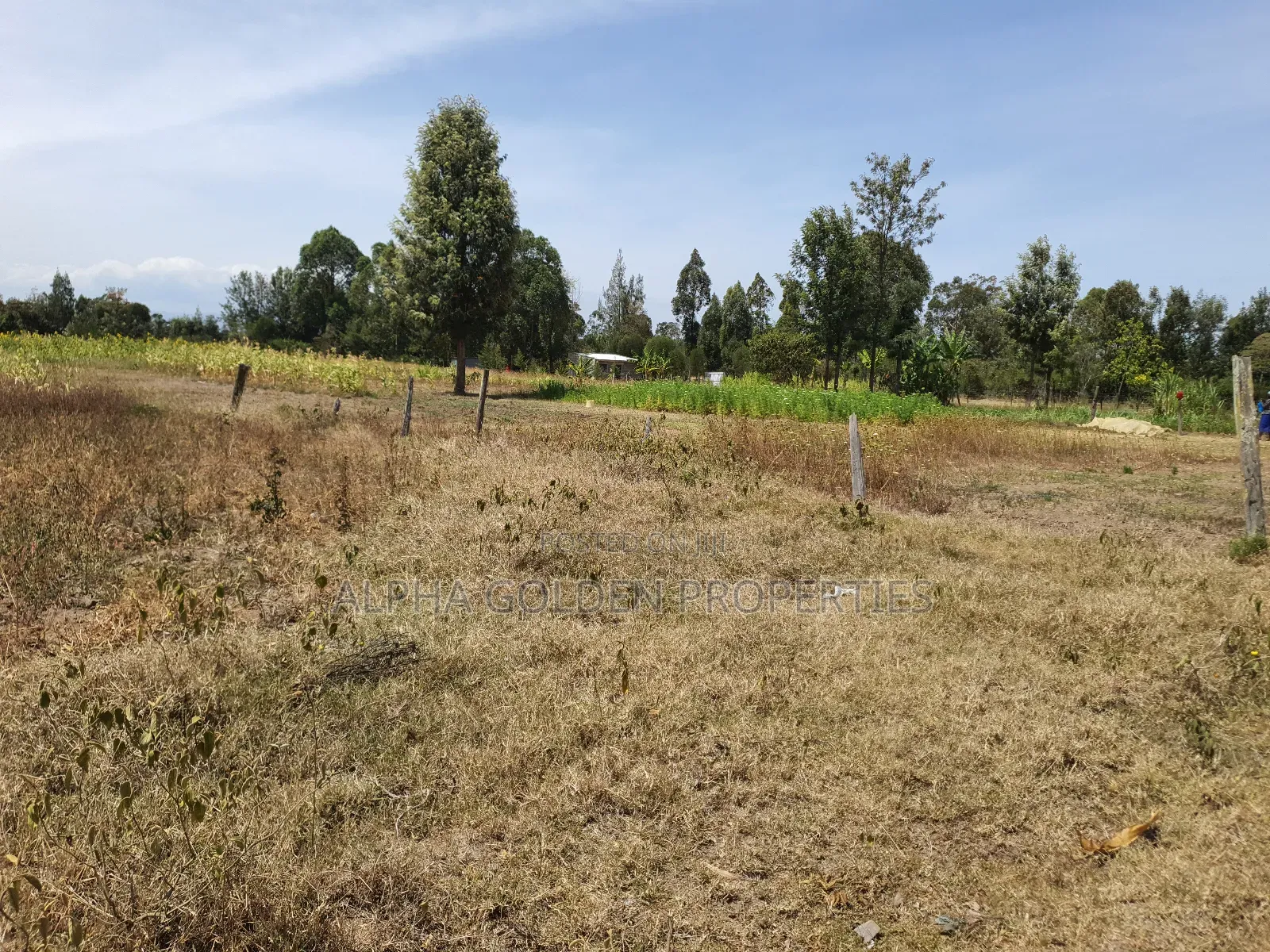 Half Acre in Gakawa in Nanyuki
