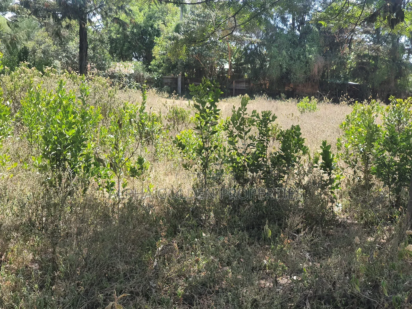 Mukima 2 Acres on Sale in Nanyuki