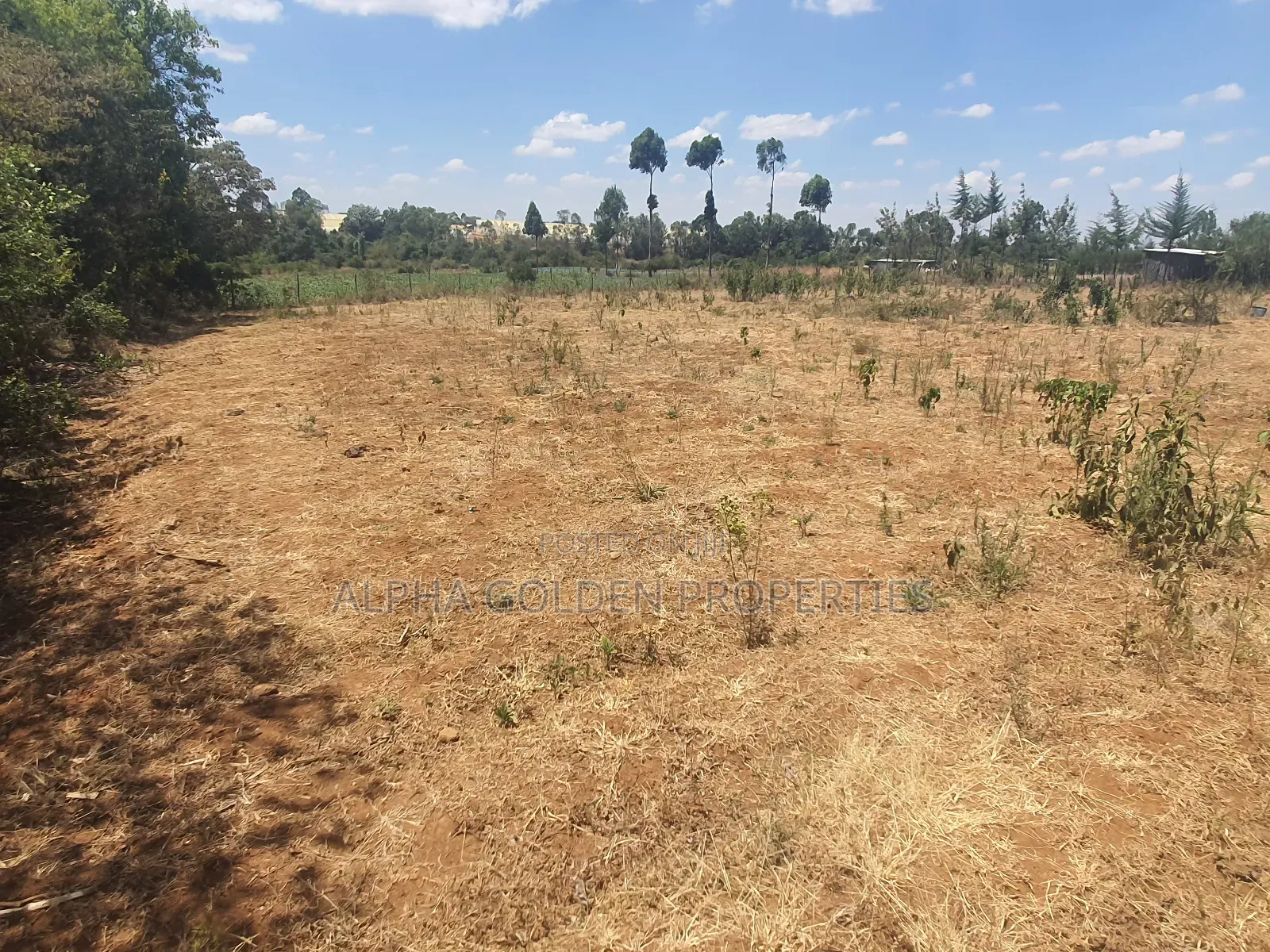Mukima 2 Acres on Sale in Nanyuki