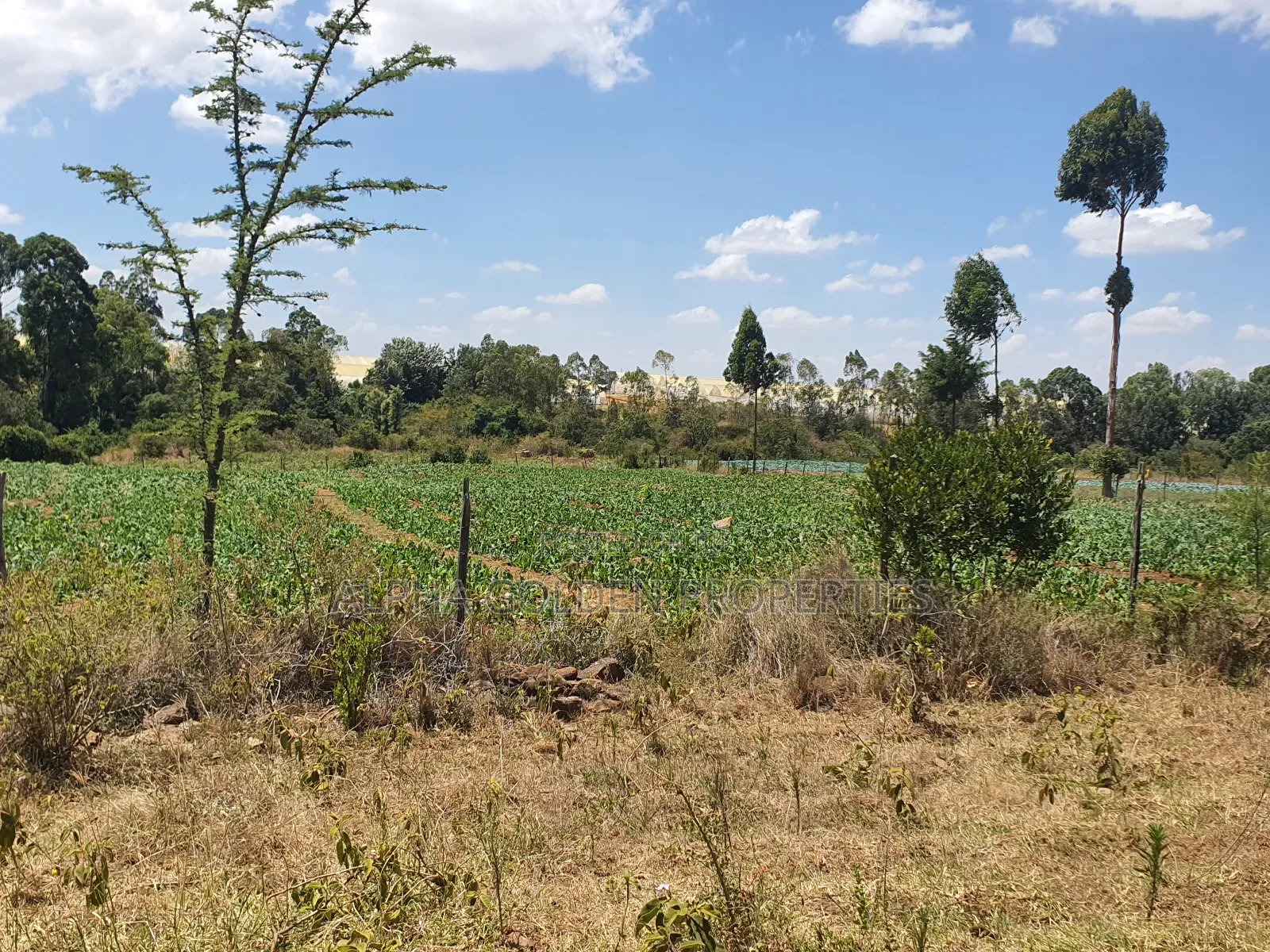Mukima 2 Acres on Sale in Nanyuki